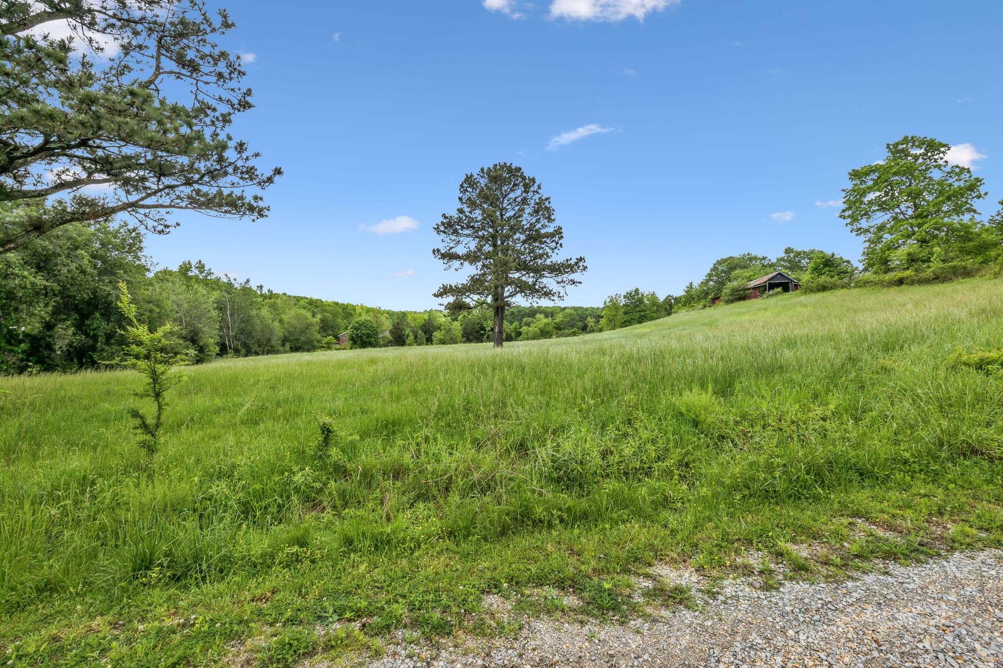 945 Sheehy Road McEwen, TN 37101 - Photo 9 of 74 Gallery Image 9