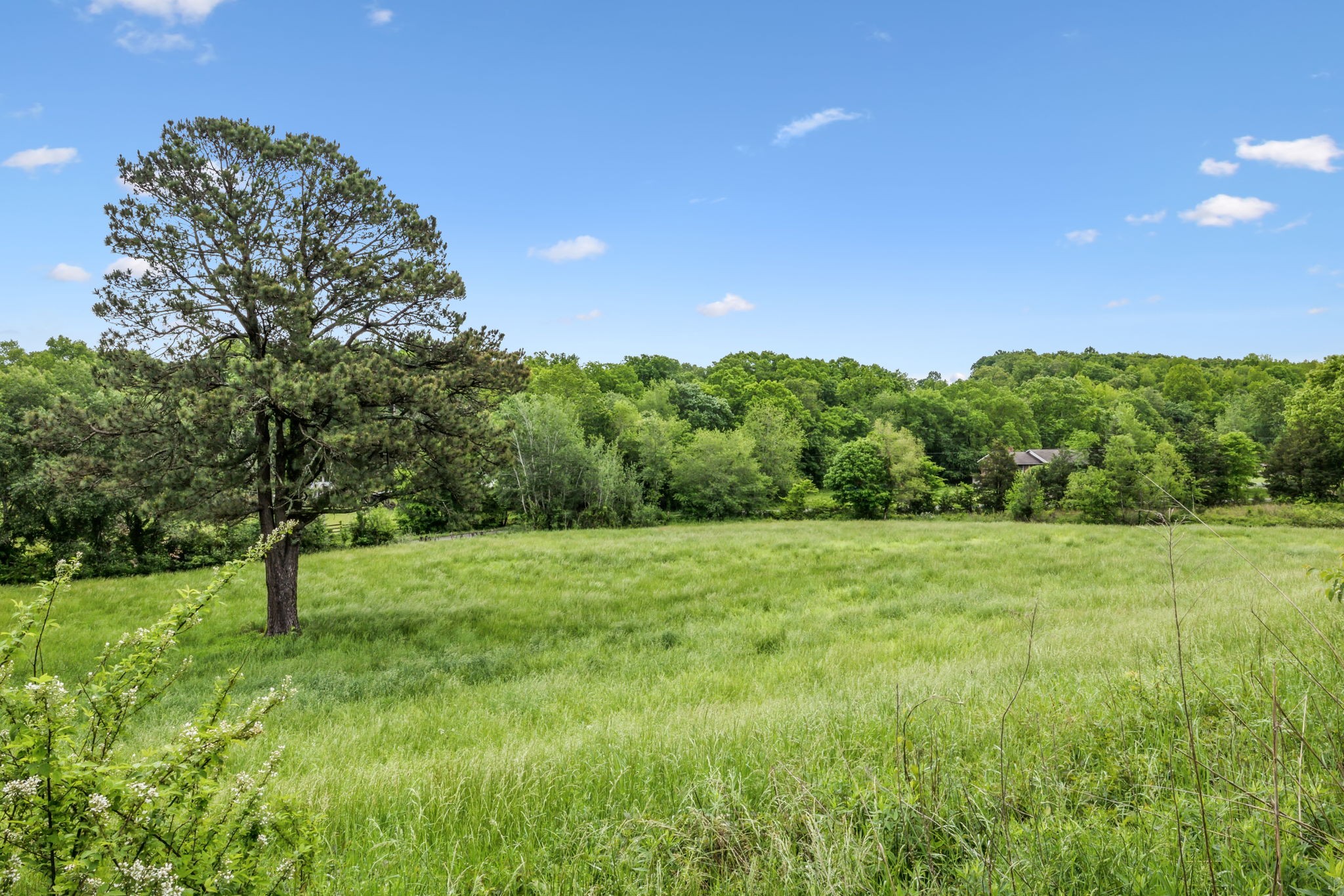 945 Sheehy Road McEwen, TN 37101 - Photo 10 of 74 Gallery Image 10