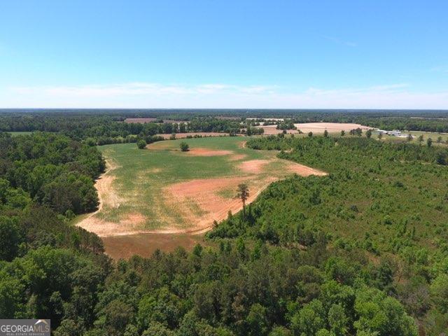 0 Ben Hadden Road Stapleton, GA 30823 - Photo 4 of 8