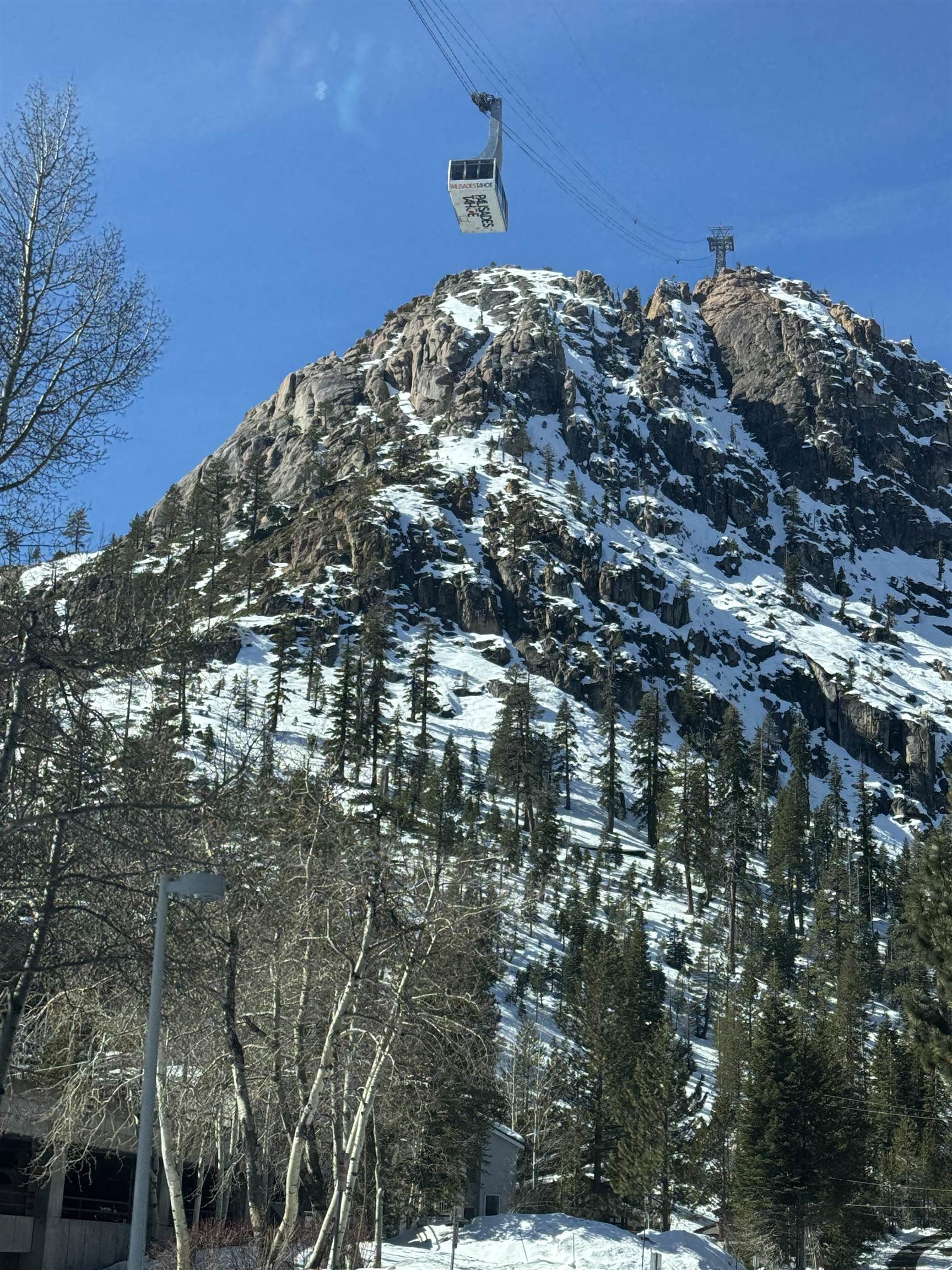 201 Shirley Cyn Road, Unit 302 Olympic Valley, CA 96146 - Photo 24 of 28 a view of a dry yard with trees