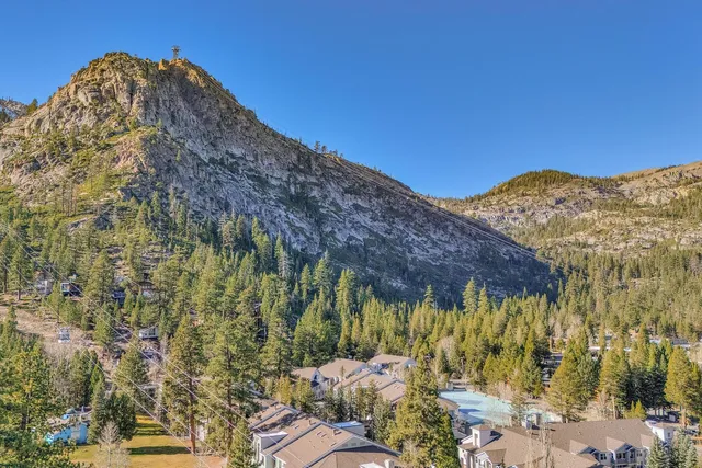 a view of a large tree with a yard