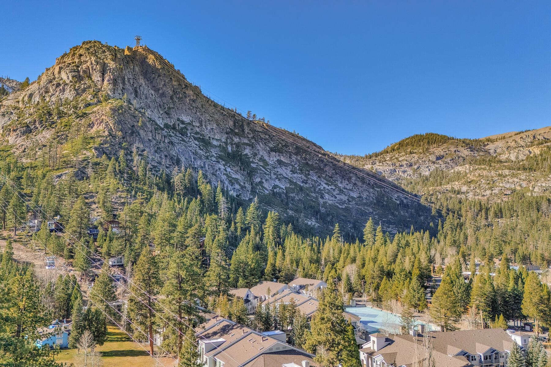 201 Shirley Cyn Road, Unit 302 Olympic Valley, CA 96146 - Photo 26 of 28 a view of a large tree with a yard