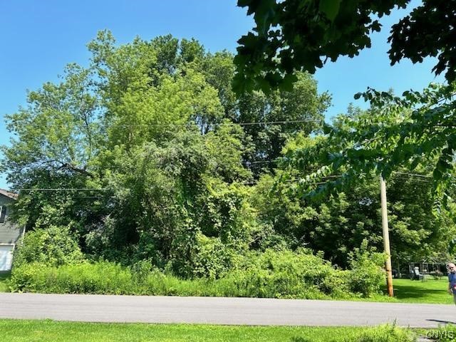 Lot # Perry Road Jordan, NY 13080 - Photo 5 of 6