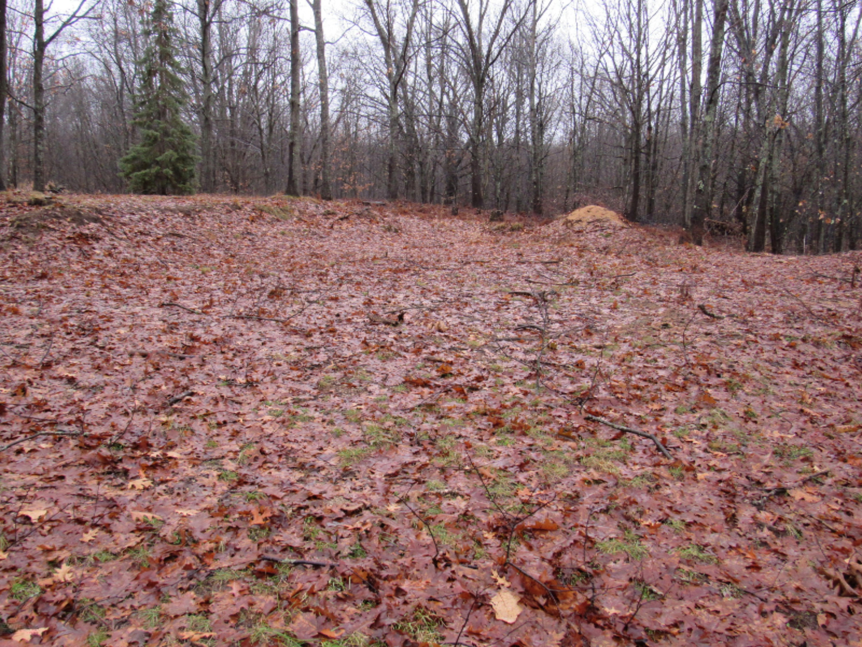 7475 South Morse Road Branch, MI 49402 - Photo 4 of 27 Land 3