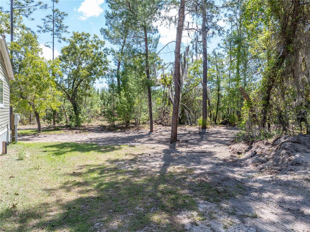 221 Magnolia Road Hawthorne, FL 32640 - Photo 31 of 41