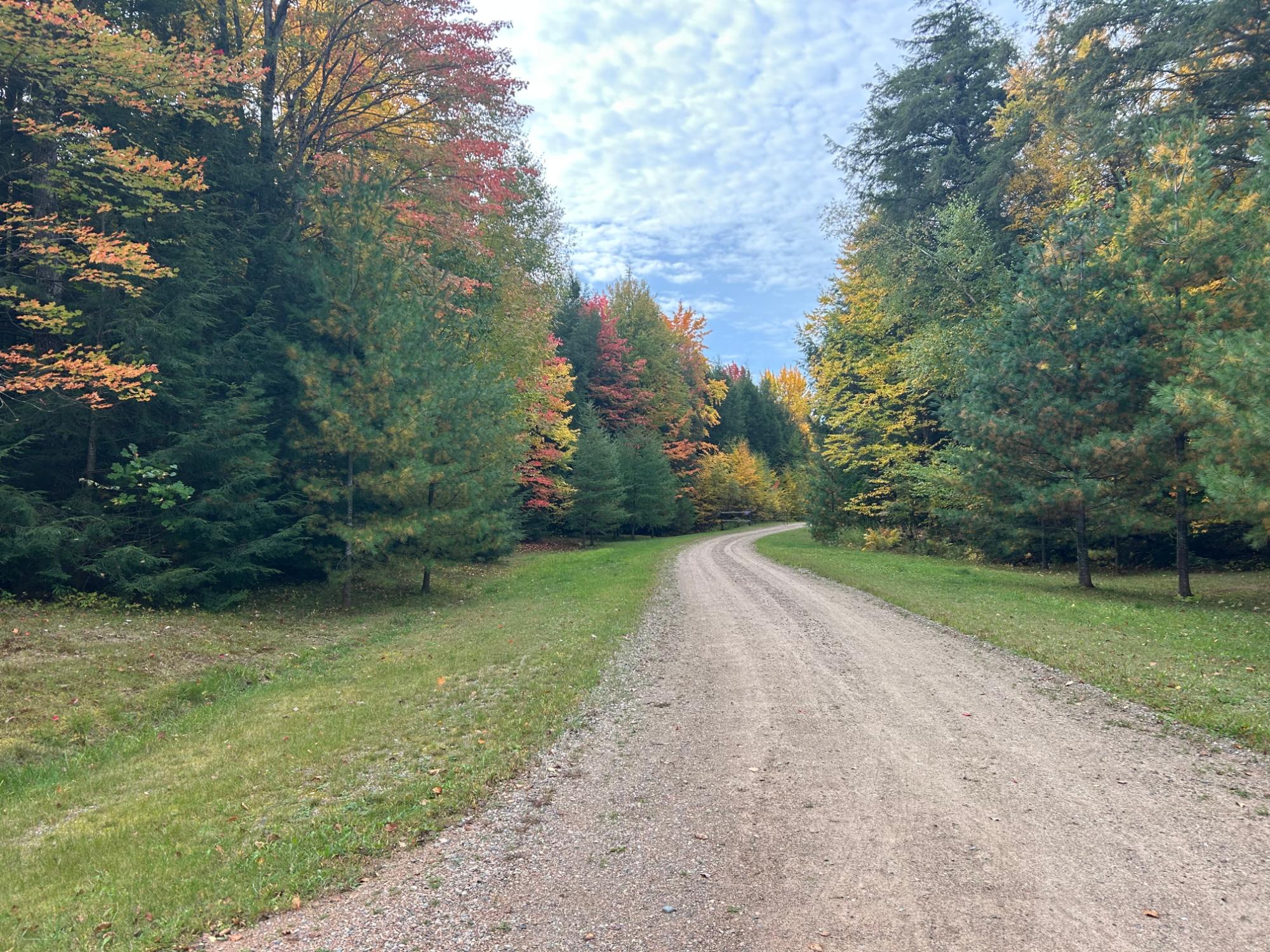 N10311 Hemlock Road Summit Lake, WI 54485 - Photo 64 of 79 Gallery Image 64