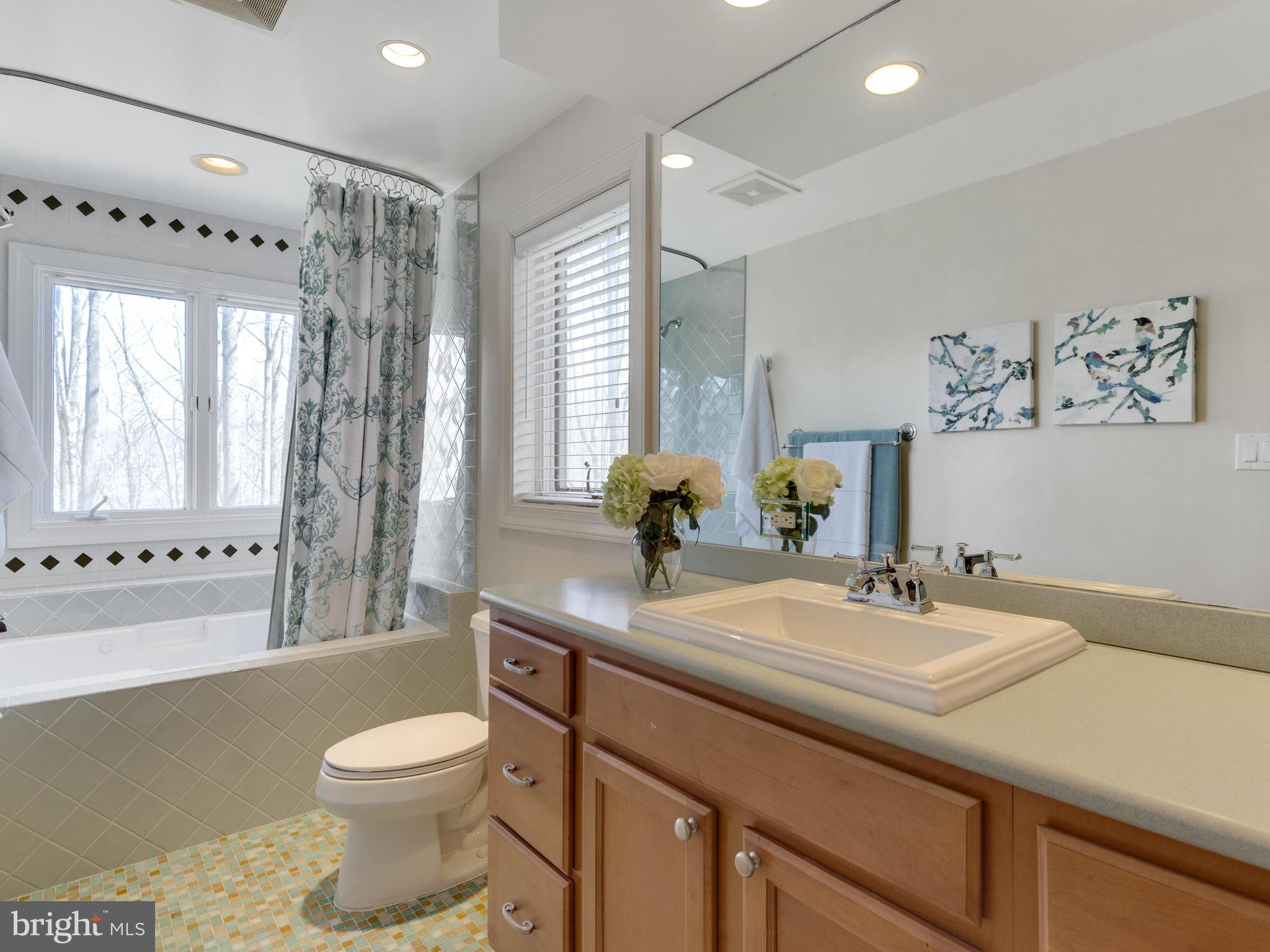 655 Potomac River Road McLean, VA 22102 - Photo 13 of 29 Bath