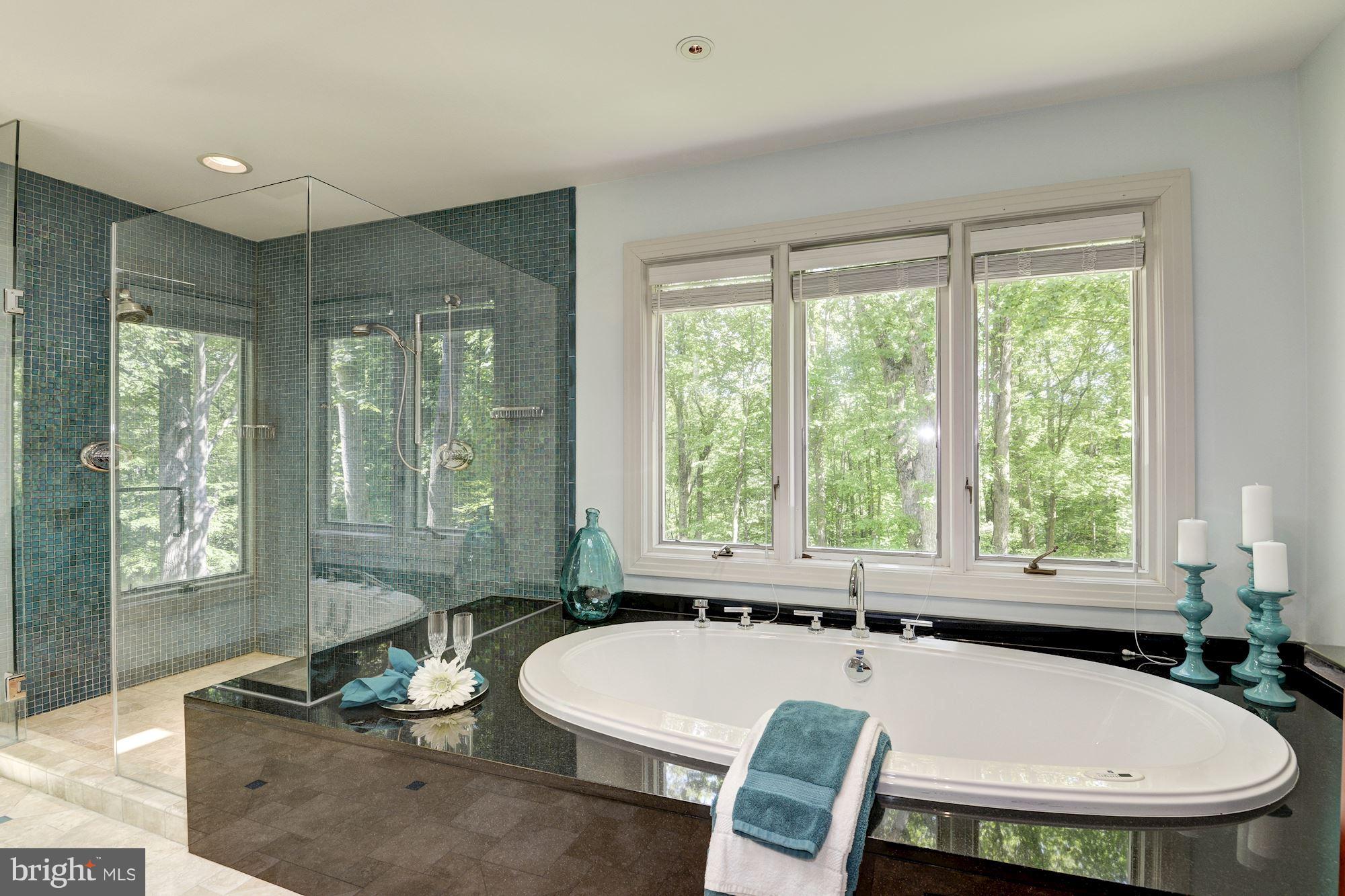655 Potomac River Road McLean, VA 22102 - Photo 20 of 29 Master Bath