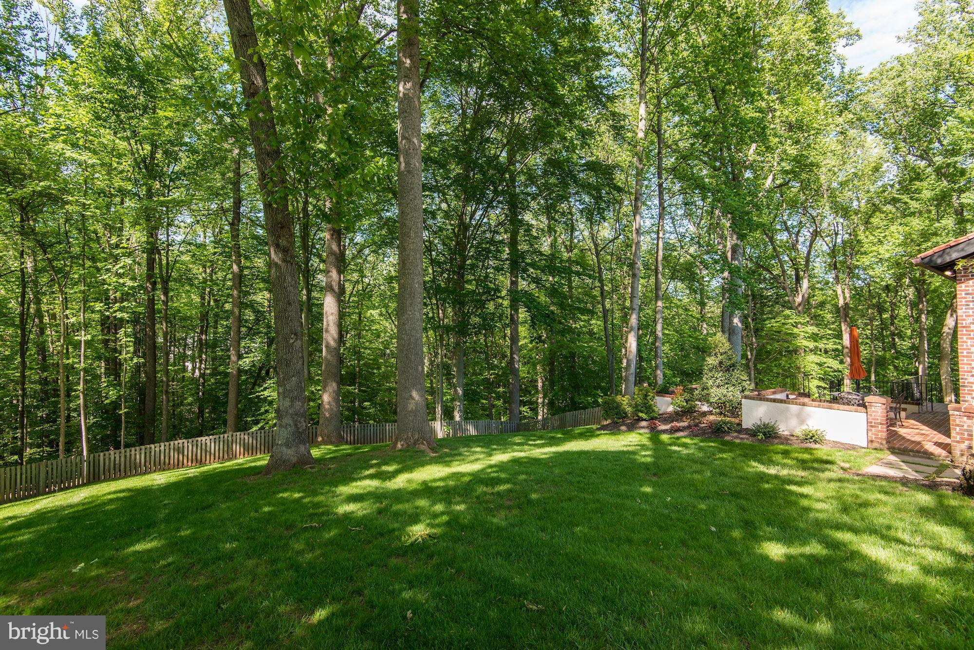 655 Potomac River Road McLean, VA 22102 - Photo 26 of 29 Quiet Private Cul De Sac Lot