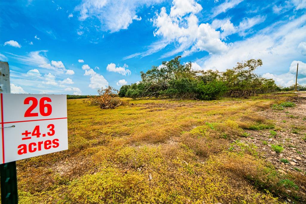 Lot 26 Reservation Road, Unit 26 Harper, TX 78631 - Photo 1 of 5 Main View