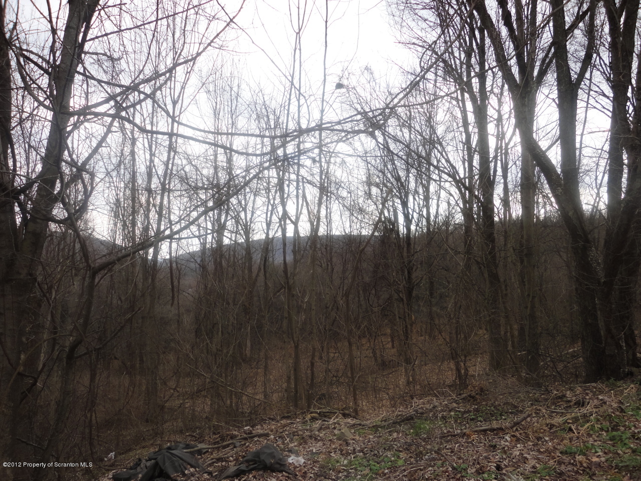 P2 Mostowski Road Olyphant, PA 18447 - Photo 1 of 3 land