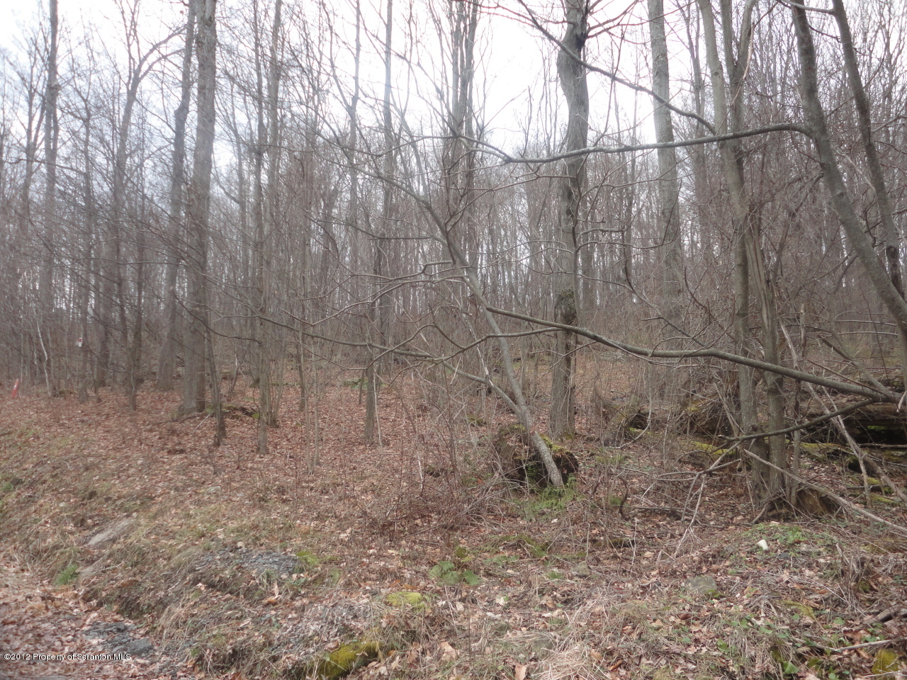 P2 Mostowski Road Olyphant, PA 18447 - Photo 2 of 3 land