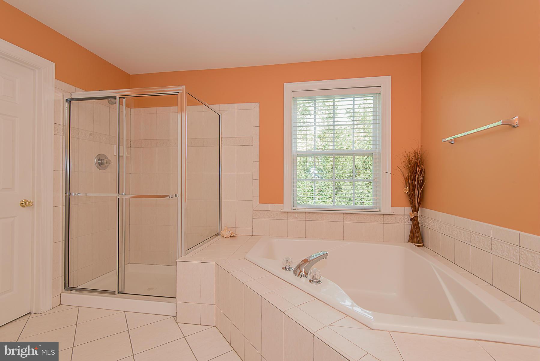 8434 High Ridge Road Ellicott City, MD 21043 - Photo 21 of 30 Bath (Master)