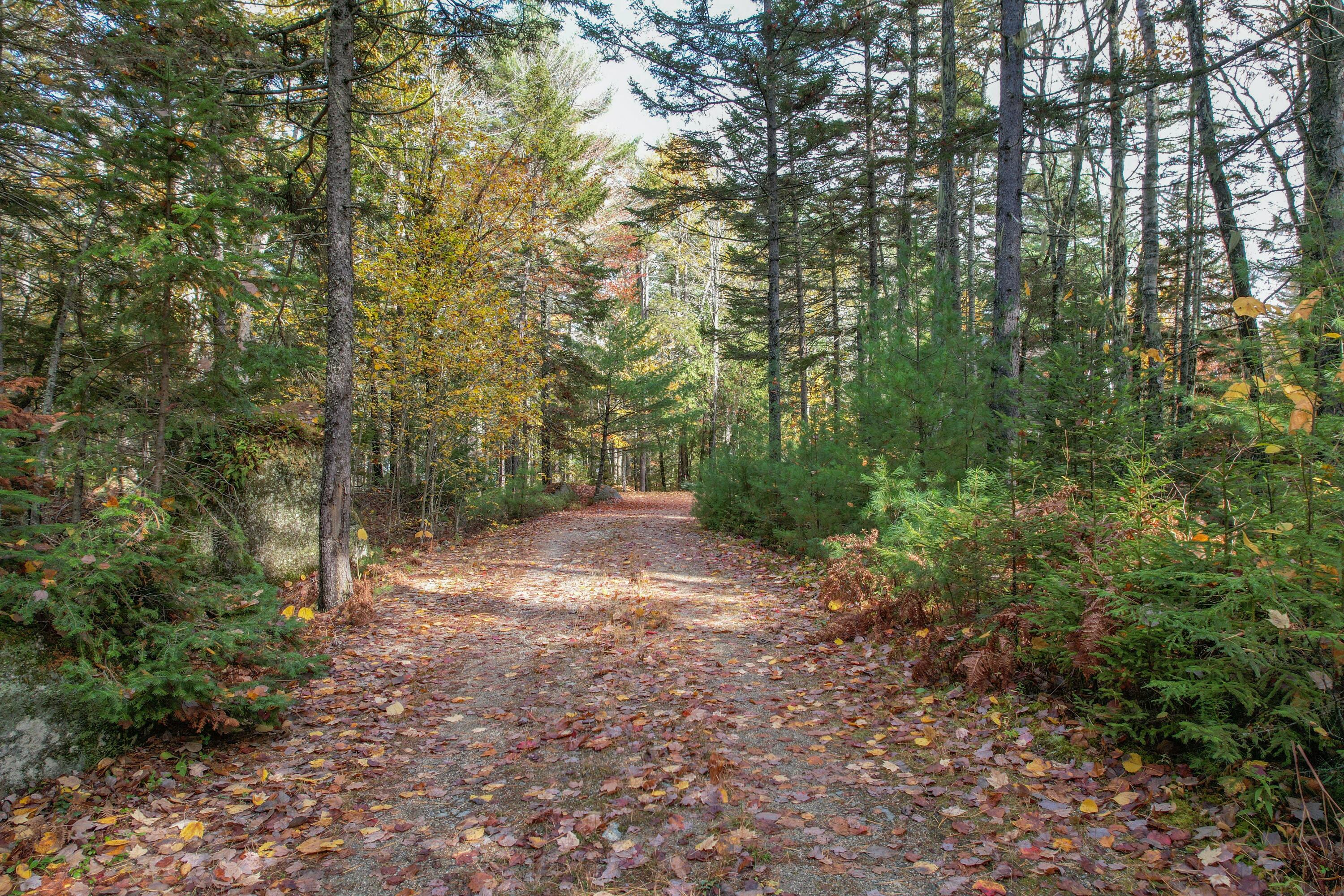 155 Long Point Way Orland, ME 04472 - Photo 34 of 65 Driveway