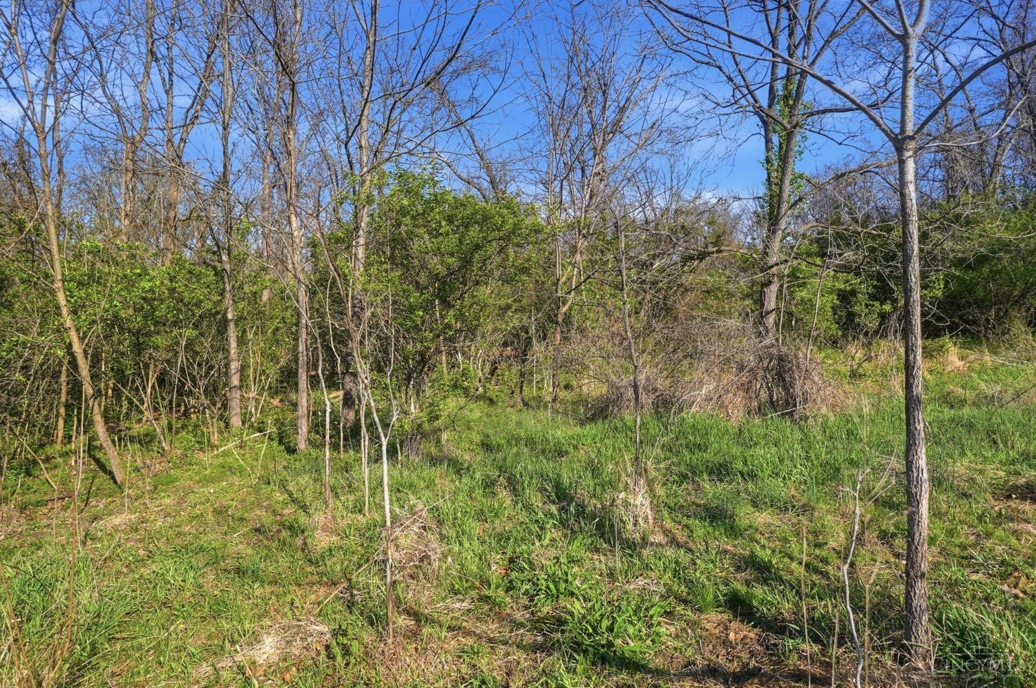 0 Osceola Road Blanchester, OH 45107 - Photo 15 of 28
