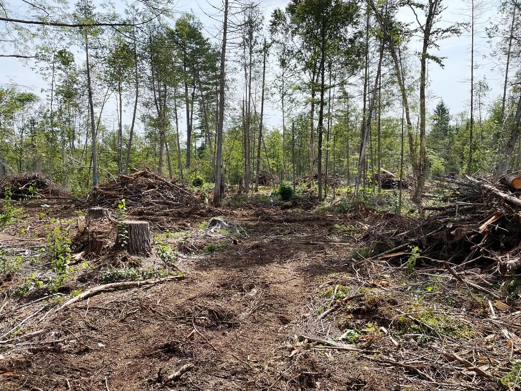 Lot 4 Hammond Brook Road Monson, ME 04464 - Photo 3 of 5 IMG_8562