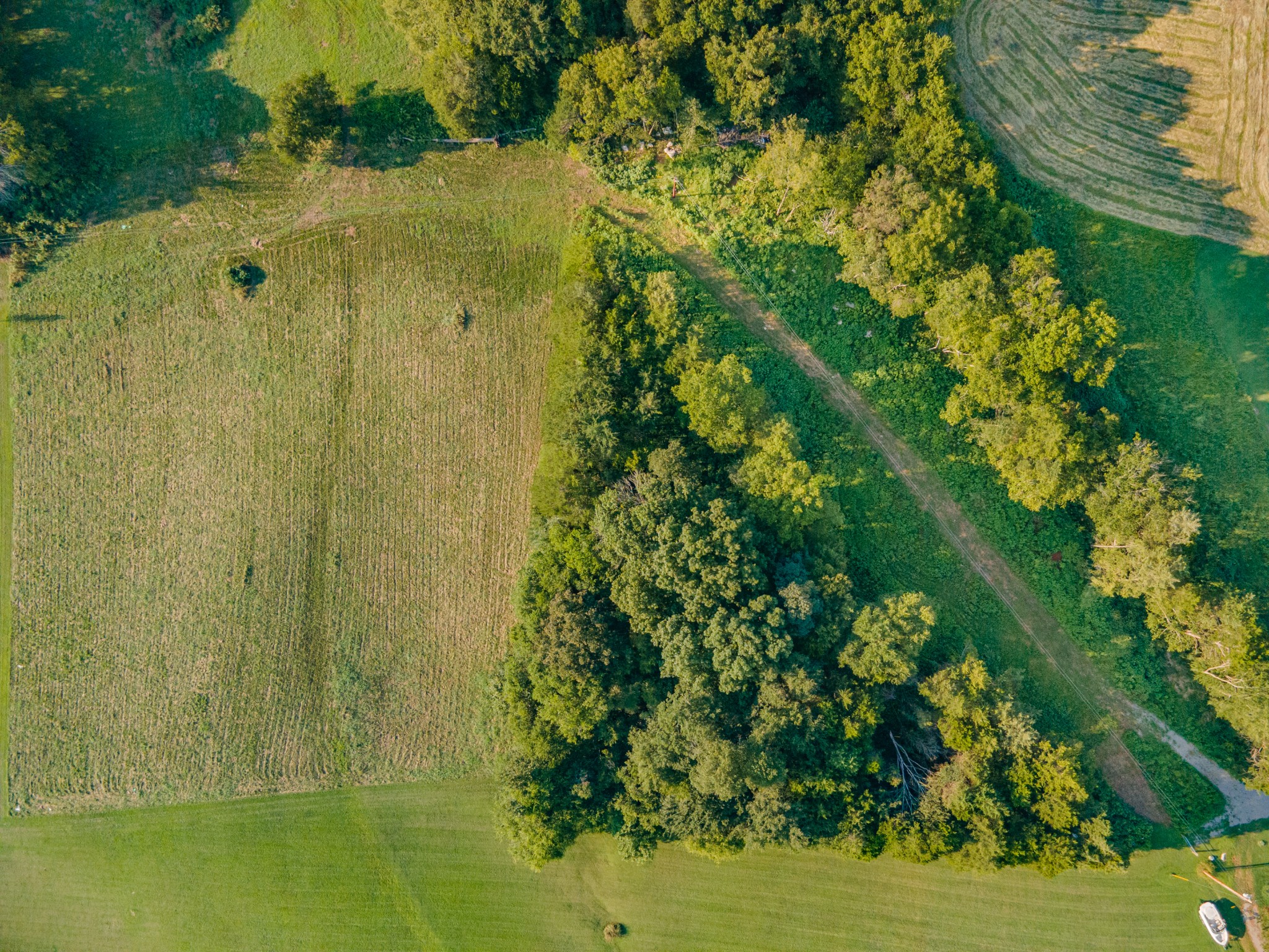 3380 Mealer Road Chapel Hill, TN 37034 - Photo 15 of 30