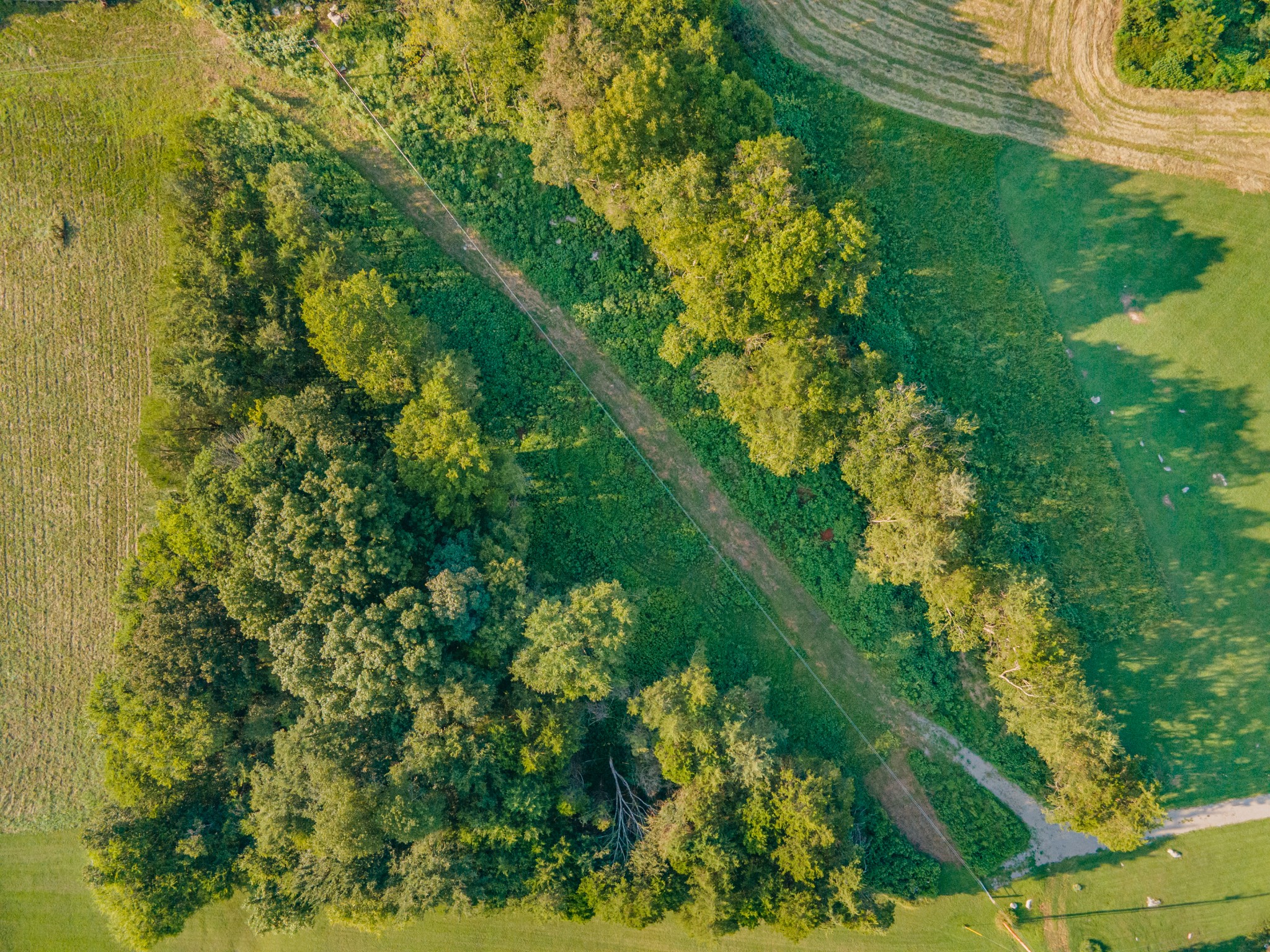 3380 Mealer Road Chapel Hill, TN 37034 - Photo 16 of 30