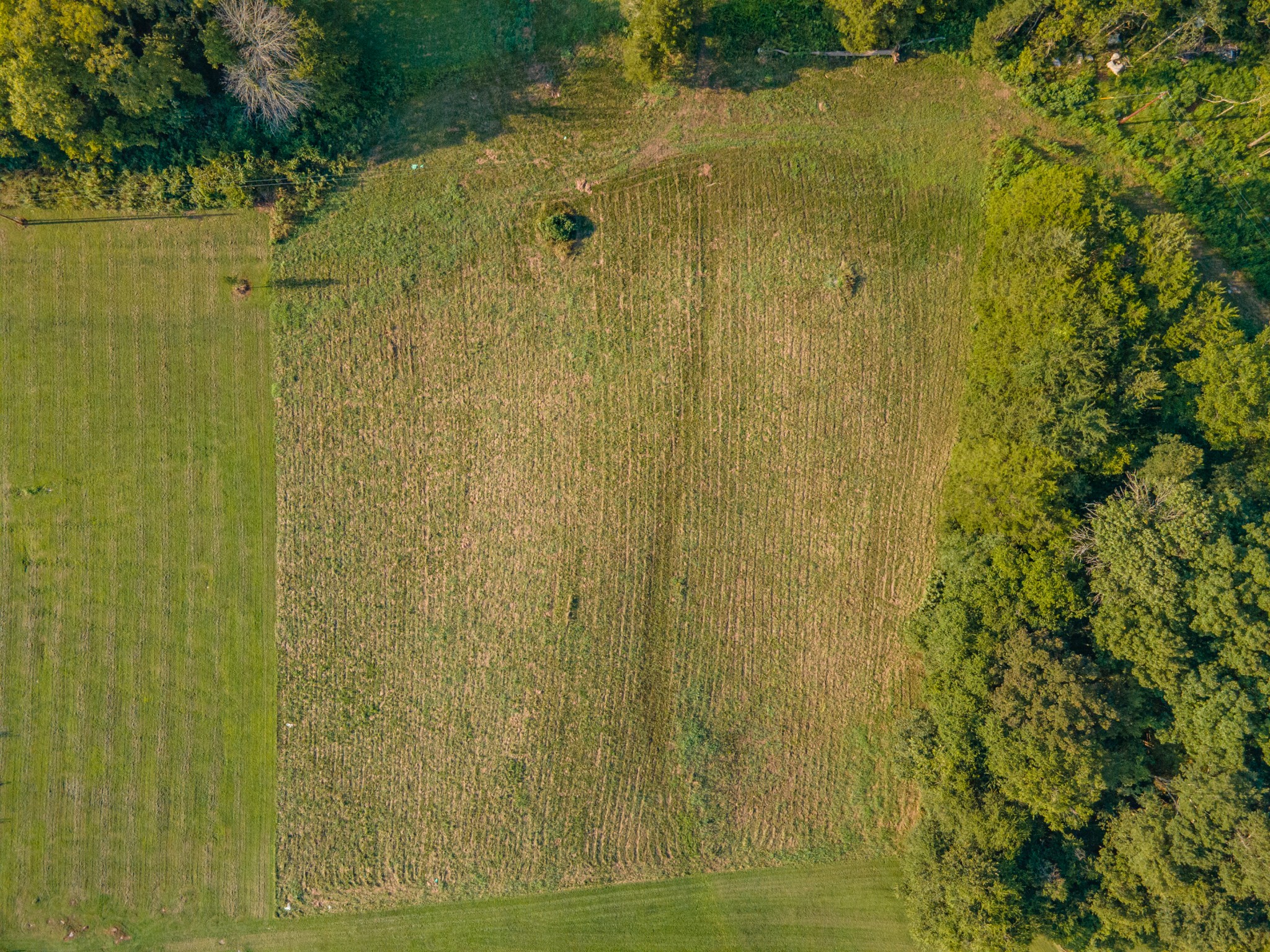 3380 Mealer Road Chapel Hill, TN 37034 - Photo 17 of 30