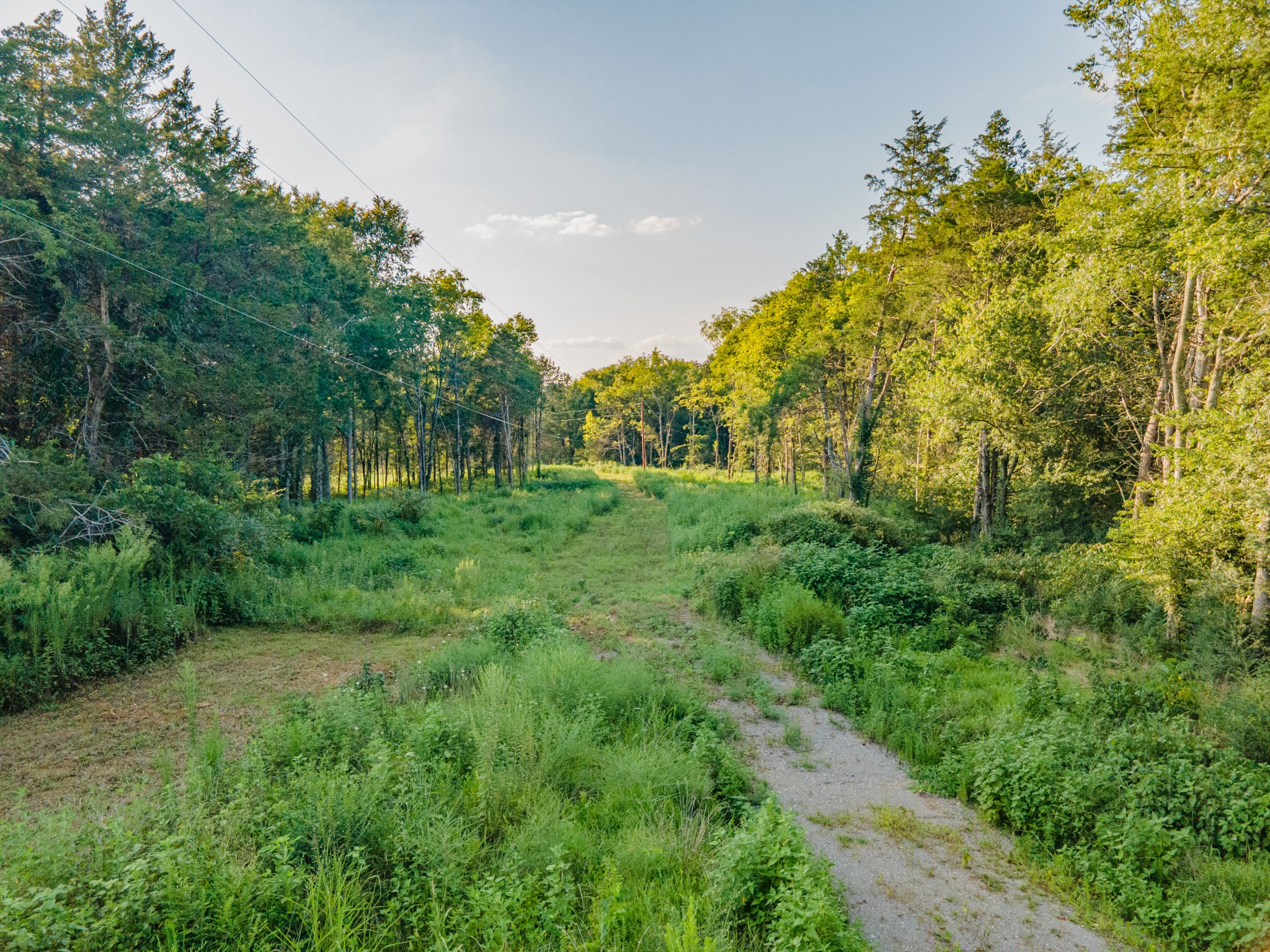 3380 Mealer Road Chapel Hill, TN 37034 - Photo 19 of 30
