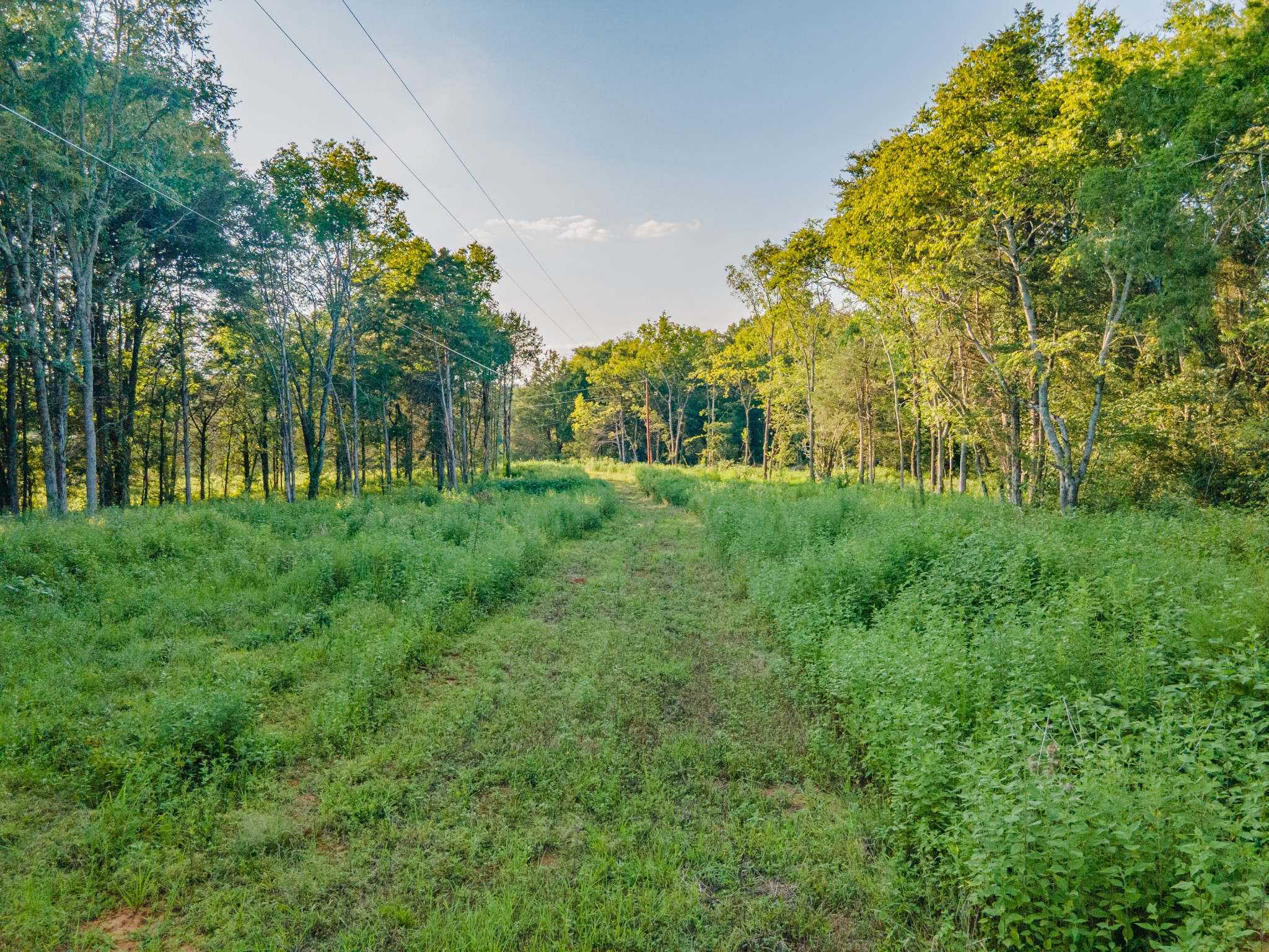 3380 Mealer Road Chapel Hill, TN 37034 - Photo 20 of 30