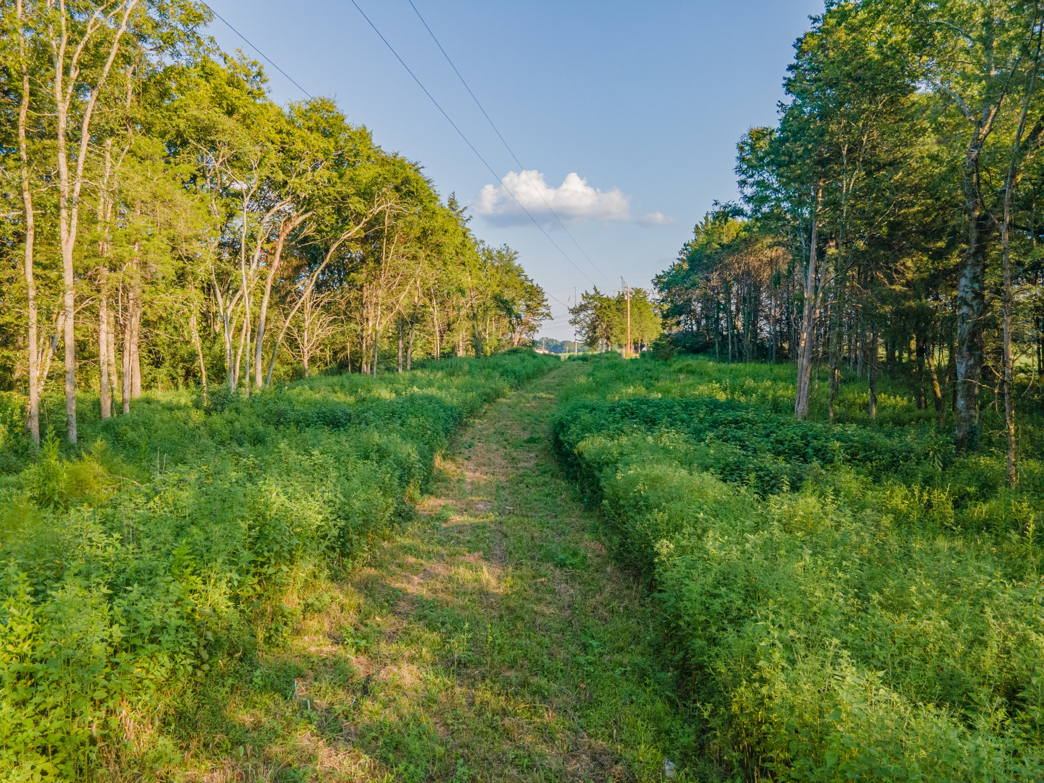 3380 Mealer Road Chapel Hill, TN 37034 - Photo 21 of 30