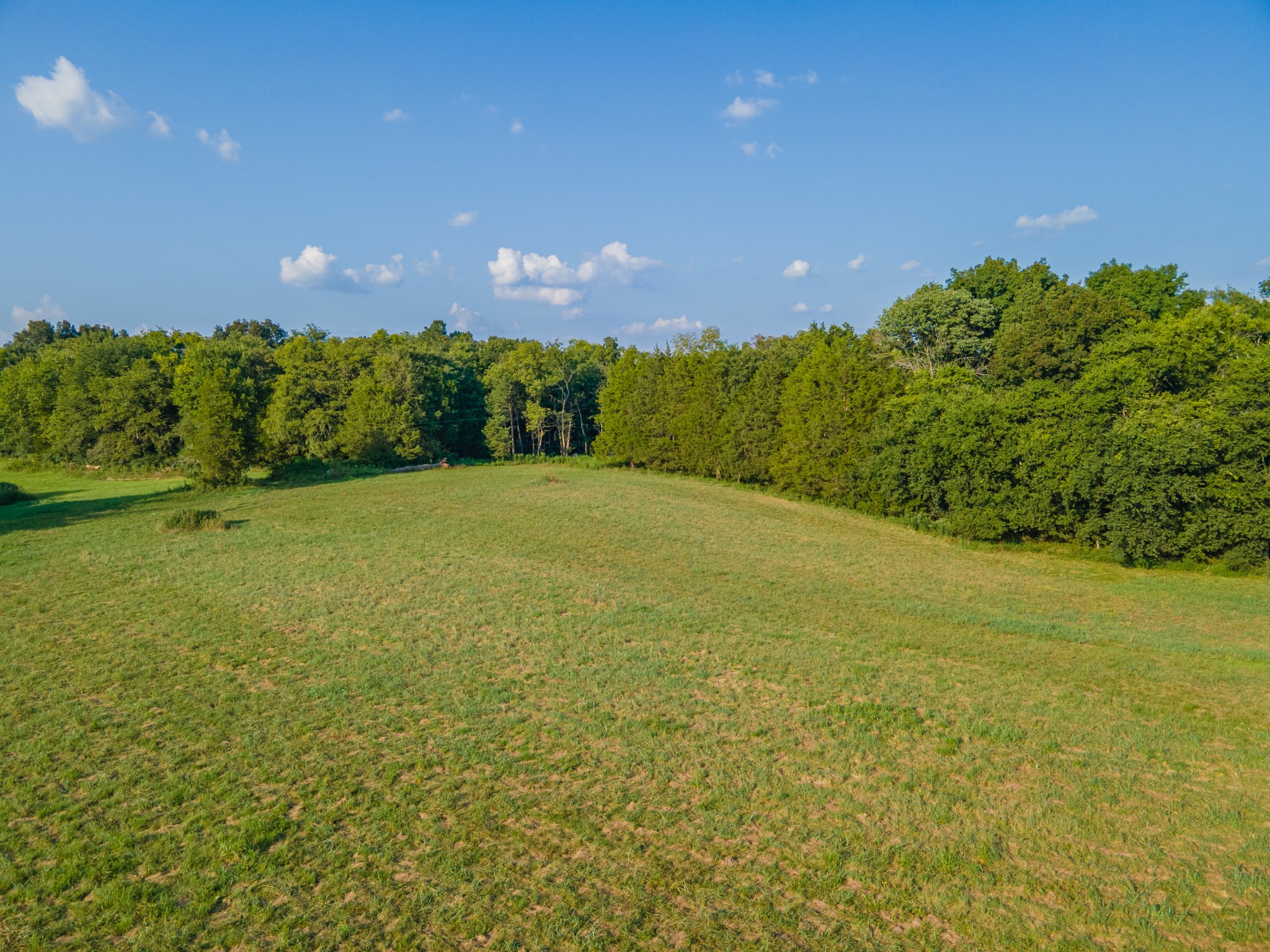 3380 Mealer Road Chapel Hill, TN 37034 - Photo 22 of 30