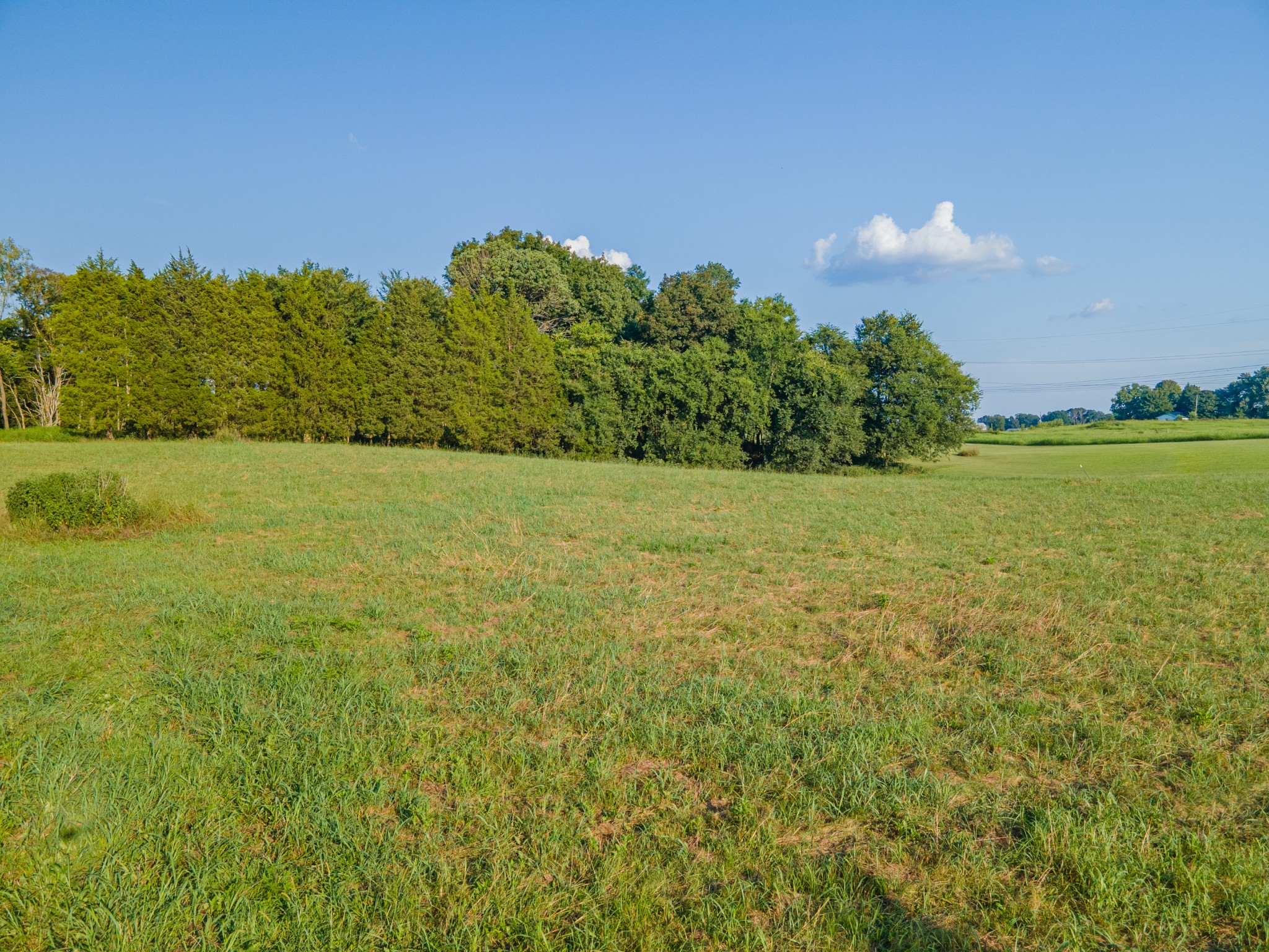 3380 Mealer Road Chapel Hill, TN 37034 - Photo 23 of 30