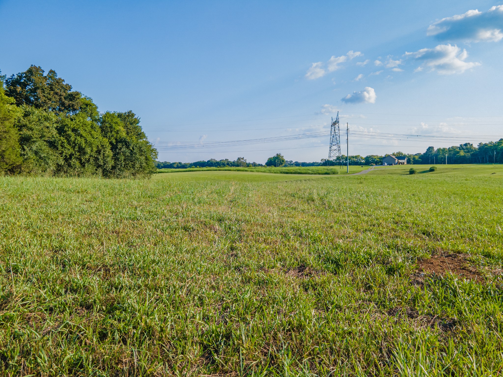 3380 Mealer Road Chapel Hill, TN 37034 - Photo 24 of 30