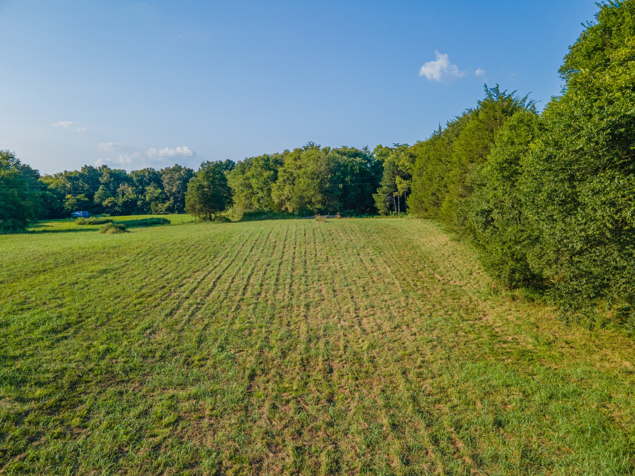 3380 Mealer Road Chapel Hill, TN 37034 - Photo 25 of 30