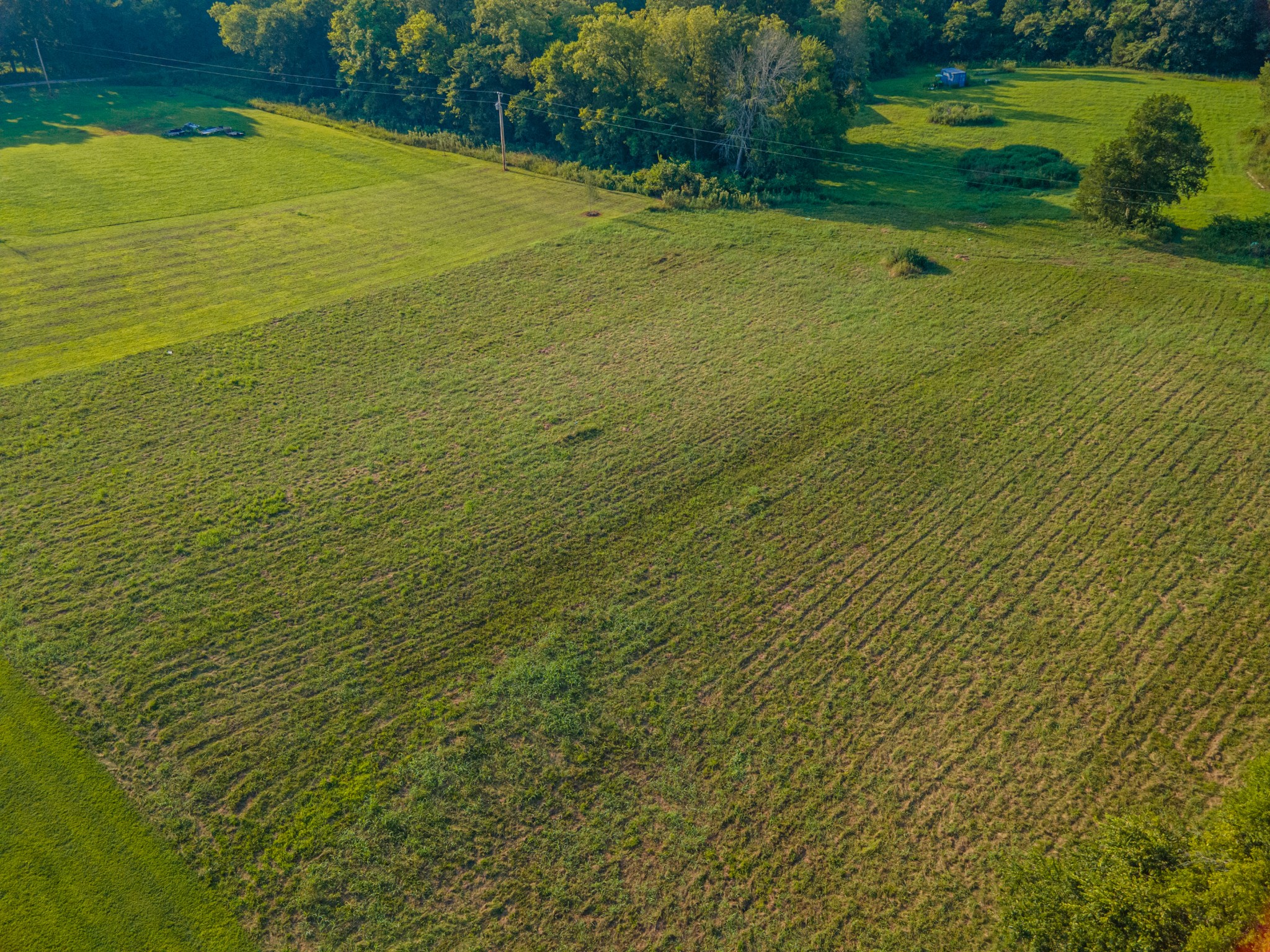 3380 Mealer Road Chapel Hill, TN 37034 - Photo 26 of 30