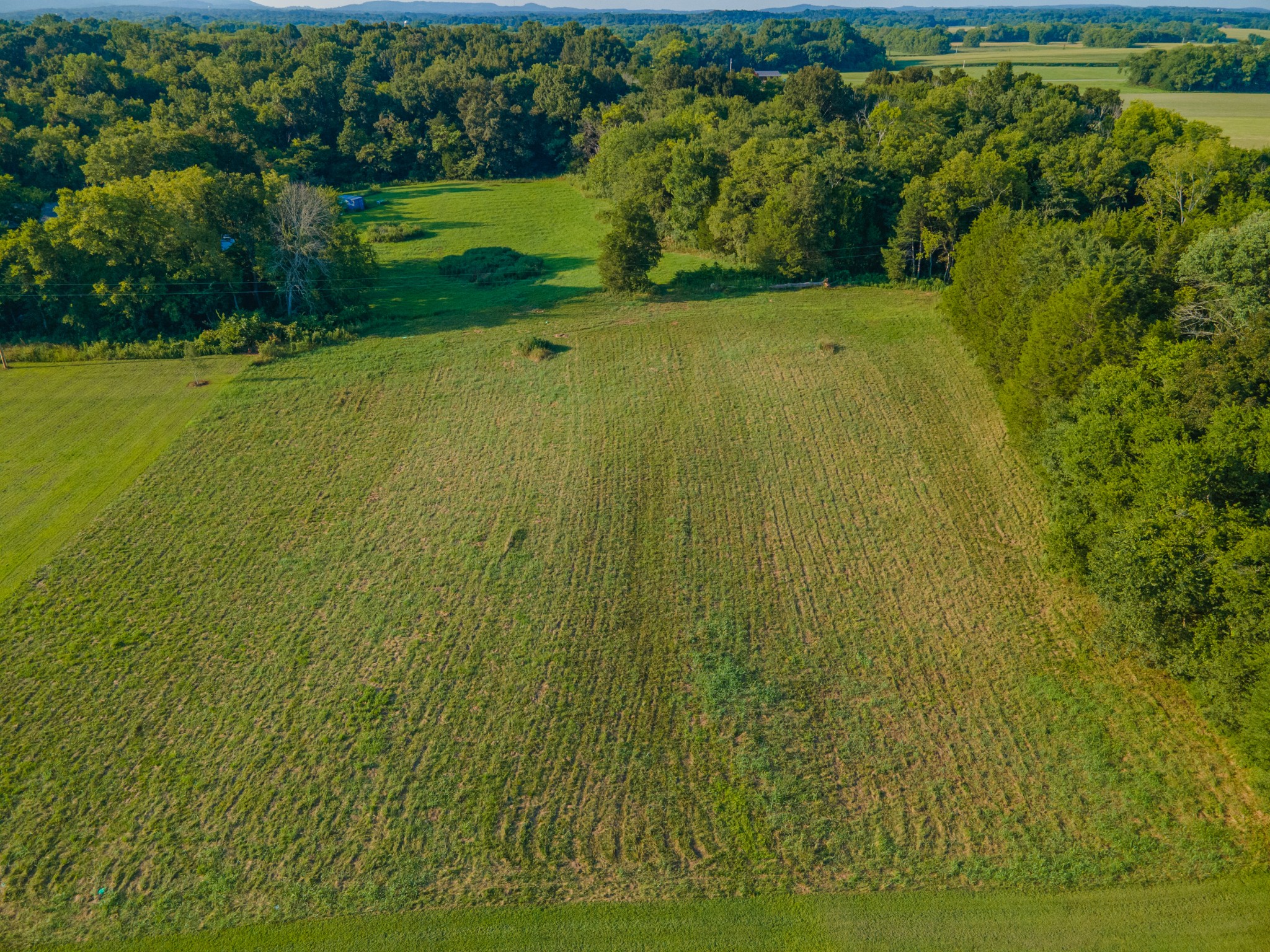 3380 Mealer Road Chapel Hill, TN 37034 - Photo 27 of 30