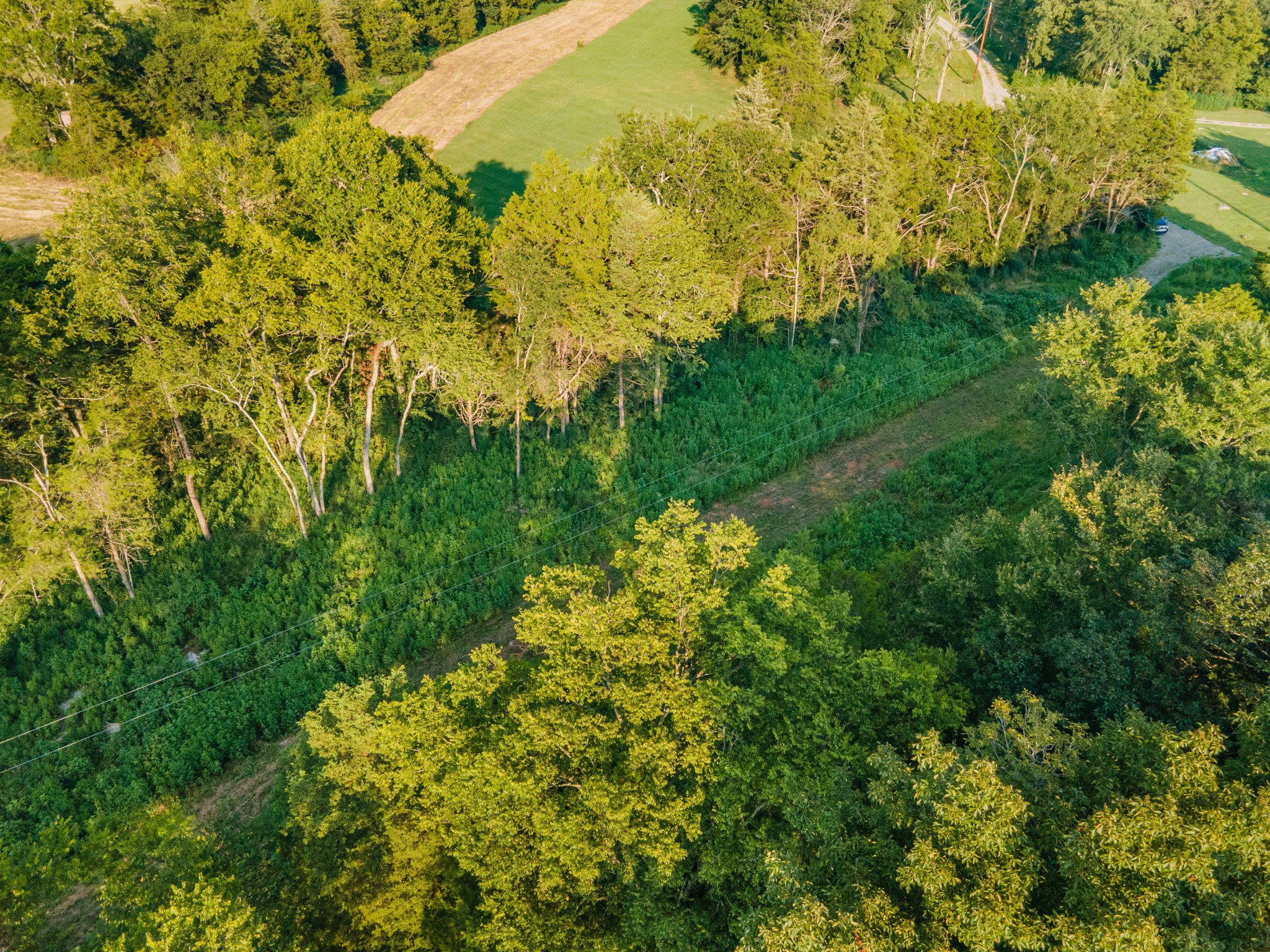 3380 Mealer Road Chapel Hill, TN 37034 - Photo 29 of 30