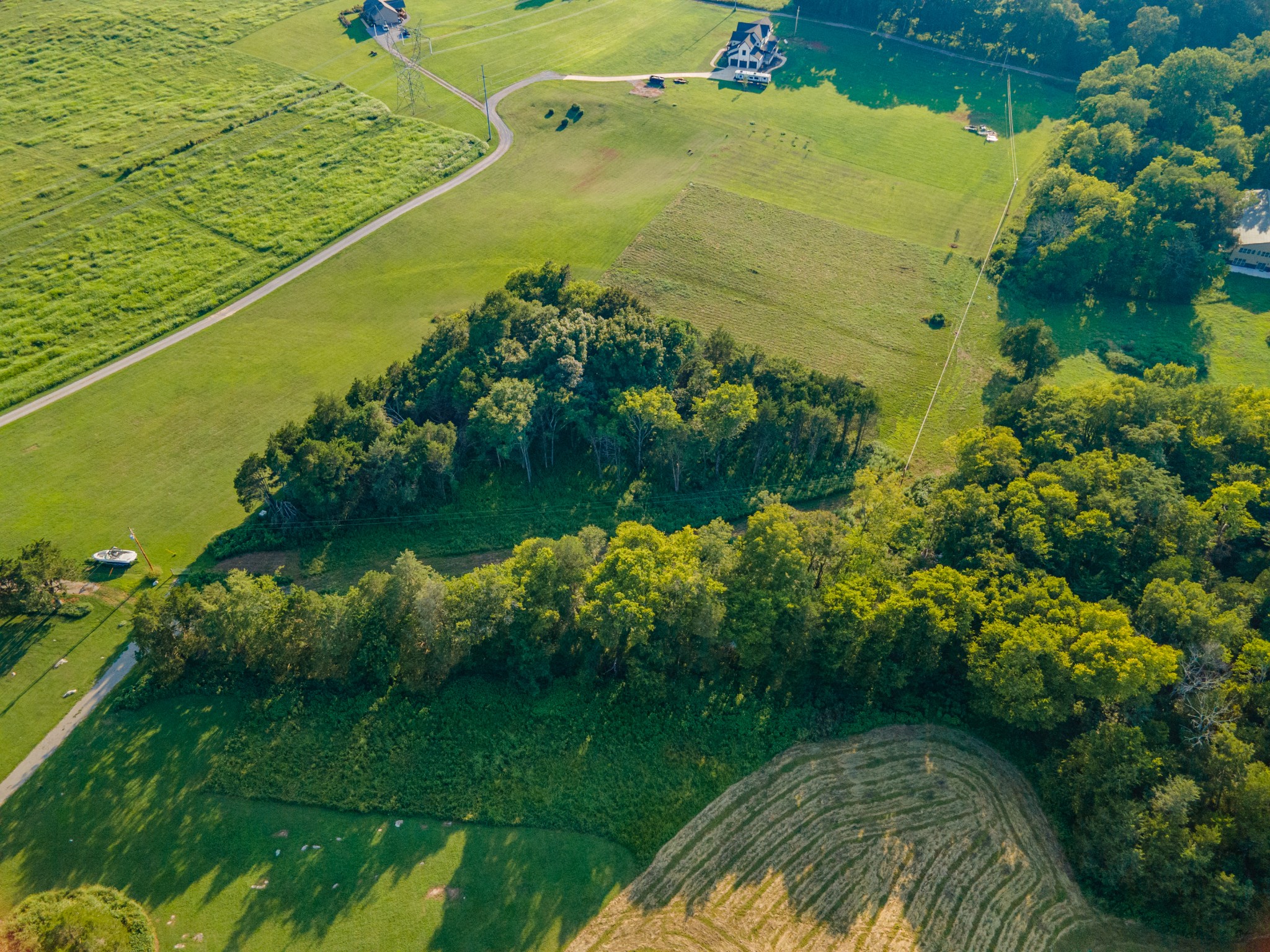 3380 Mealer Road Chapel Hill, TN 37034 - Photo 5 of 30