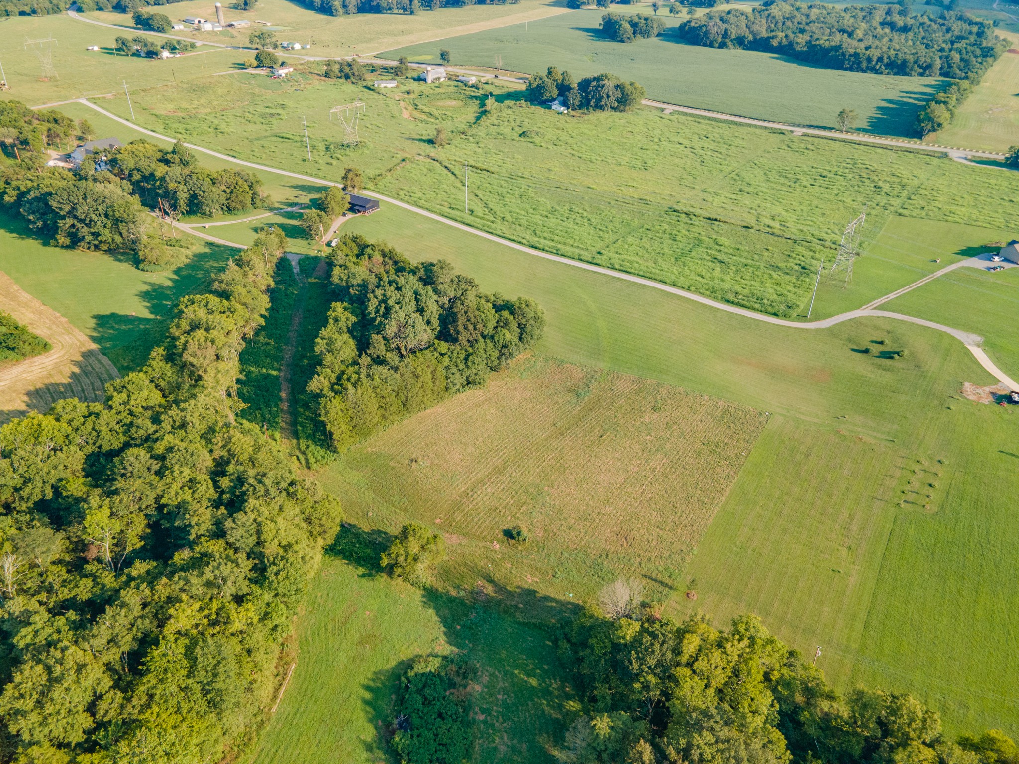 3380 Mealer Road Chapel Hill, TN 37034 - Photo 7 of 30