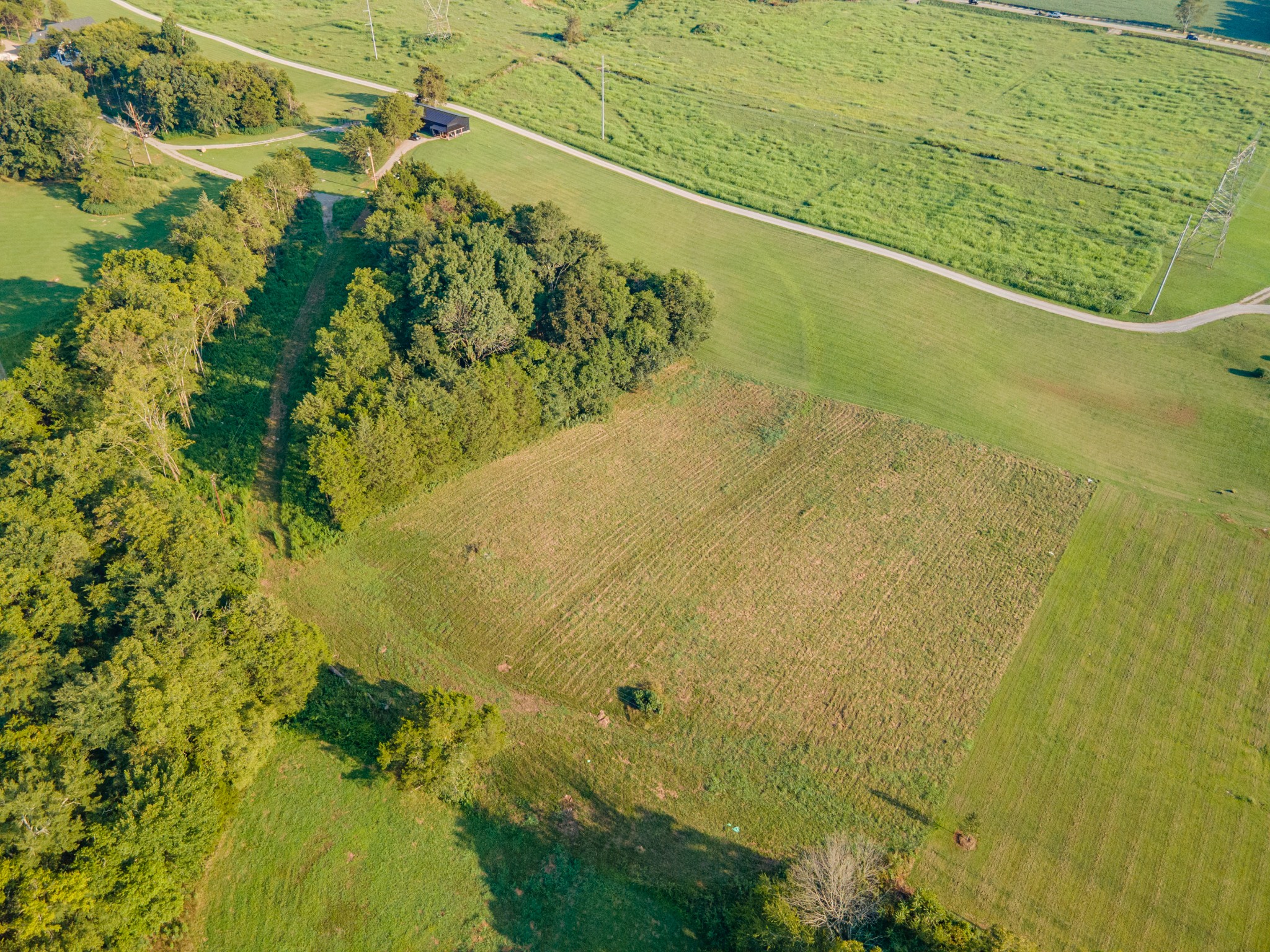 3380 Mealer Road Chapel Hill, TN 37034 - Photo 8 of 30