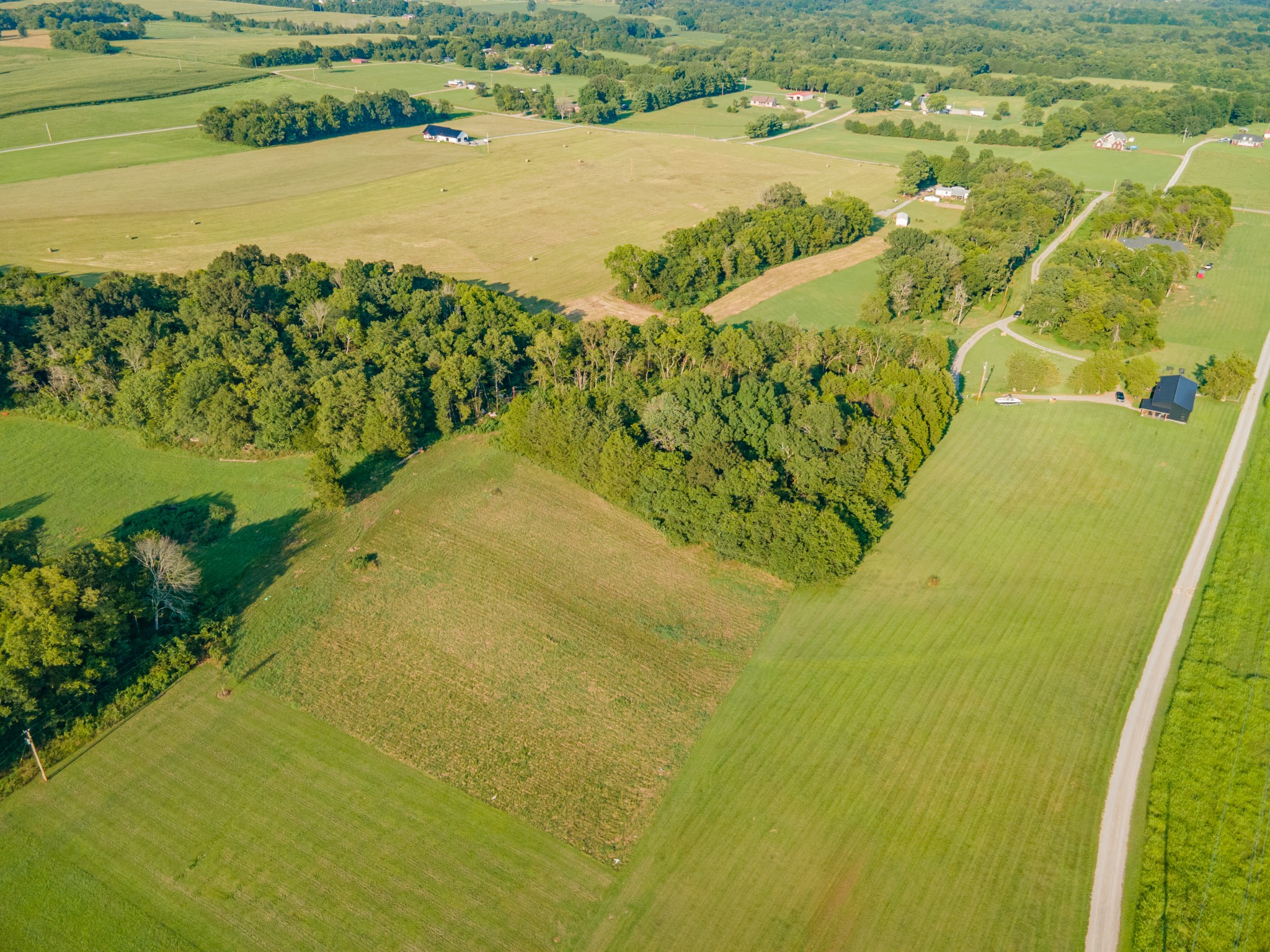 3380 Mealer Road Chapel Hill, TN 37034 - Photo 9 of 30