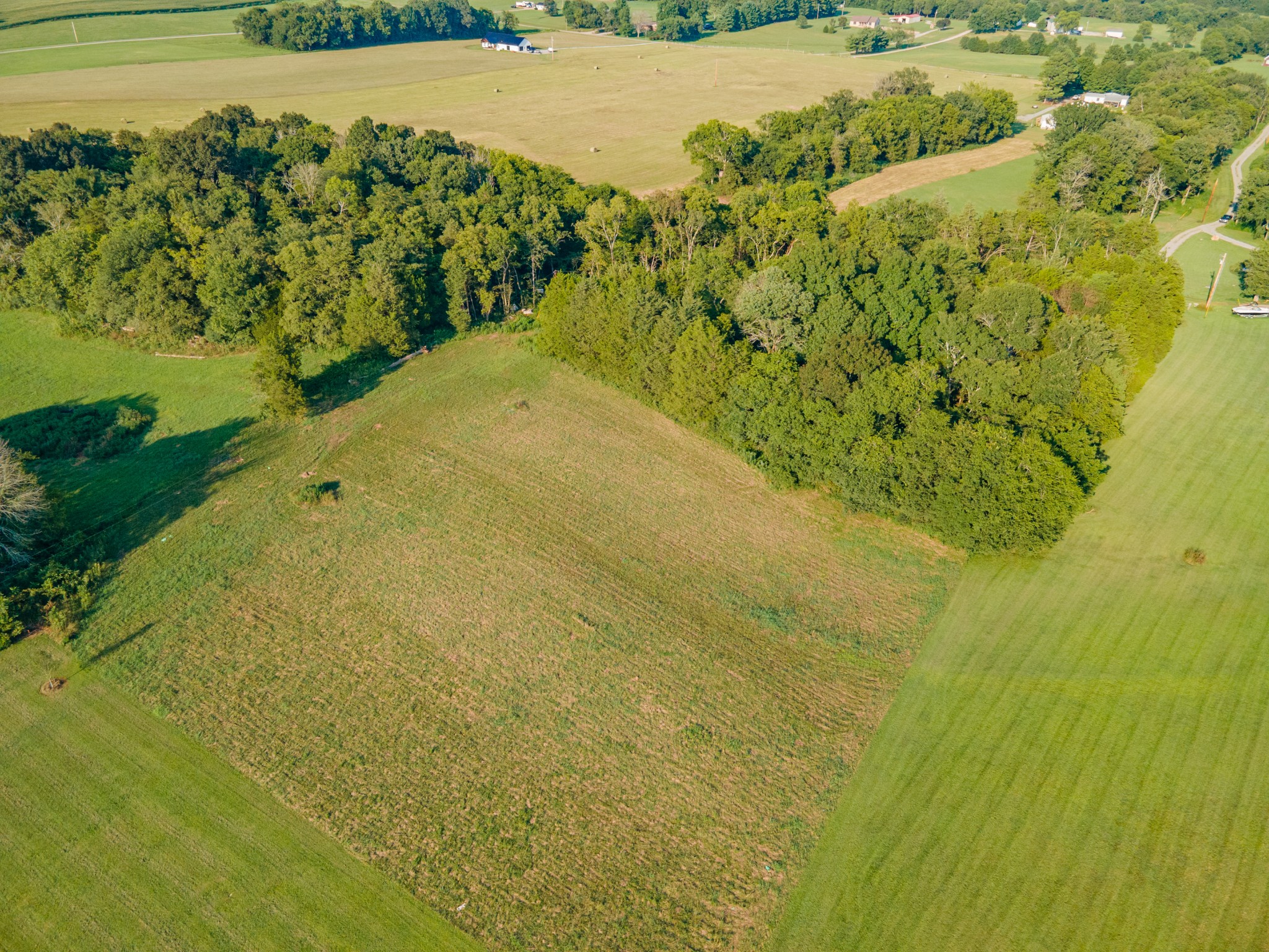 3380 Mealer Road Chapel Hill, TN 37034 - Photo 10 of 30