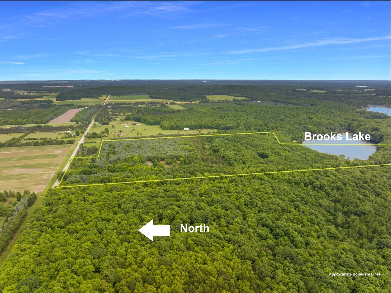 0 Pettengill Road Empire, MI 49630 - Photo 3 of 14