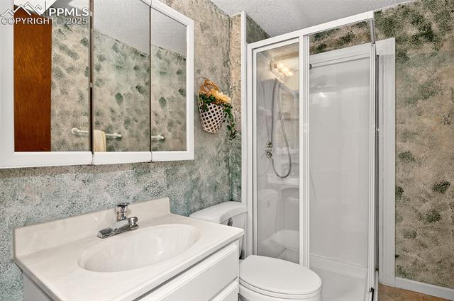 6723 Seneca Road Colorado Springs, CO 80915 - Photo 22 of 36 Basement level 3/4 bathroom with free standing shower