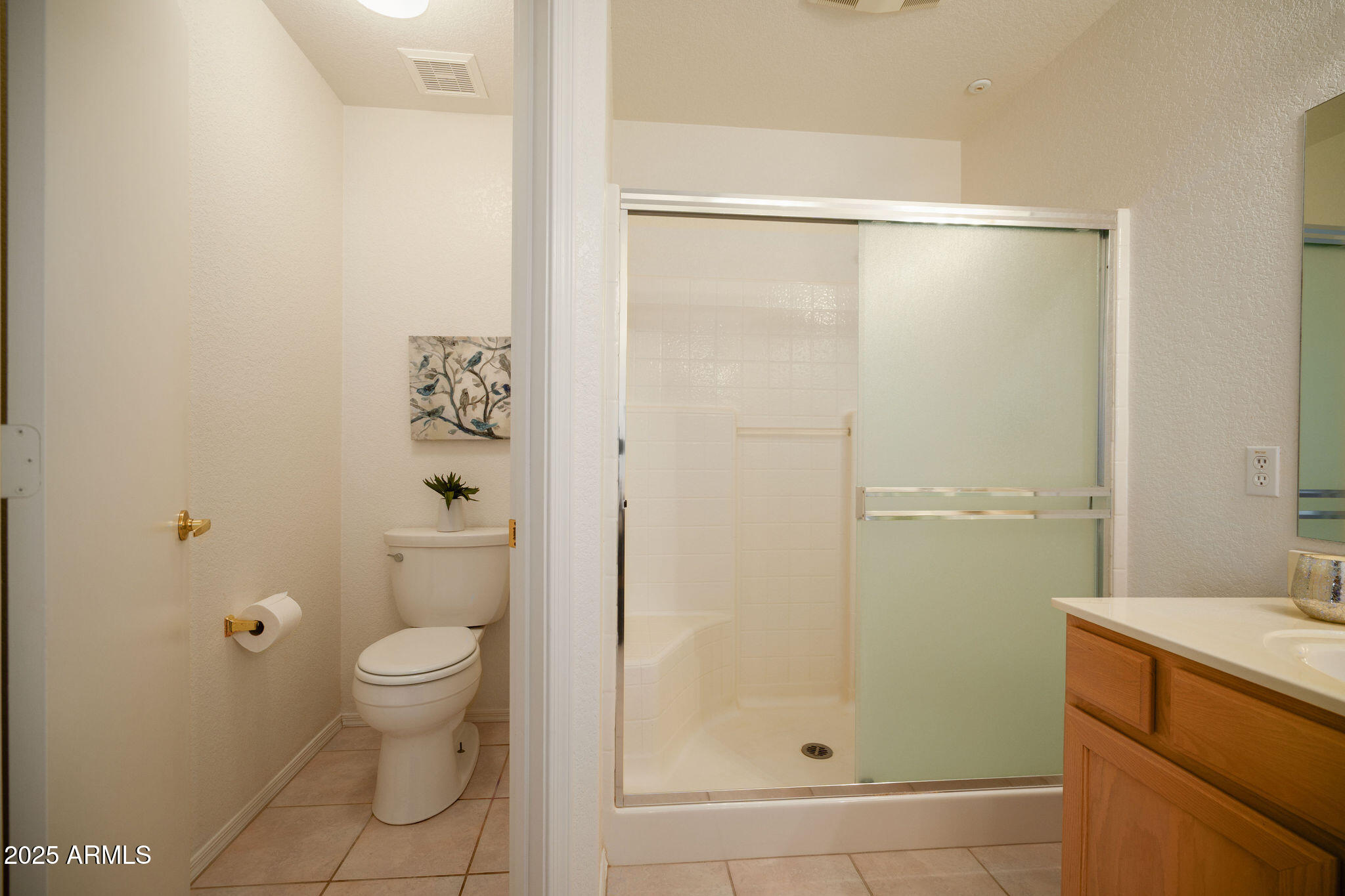 10344 West Burnett Road Peoria, AZ 85382 - Photo 13 of 27 shower & WC