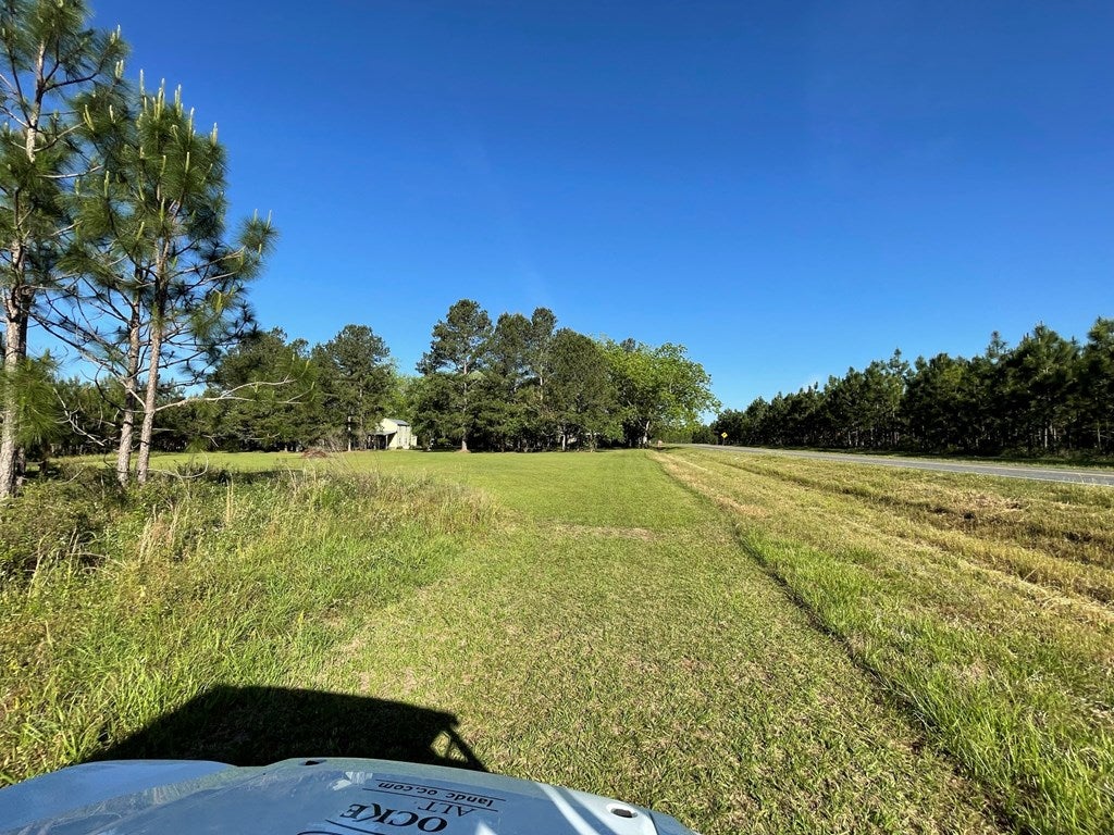 17862 State Rte 188 Coolidge, GA 31738 - Photo 55 of 72 Hwy 188