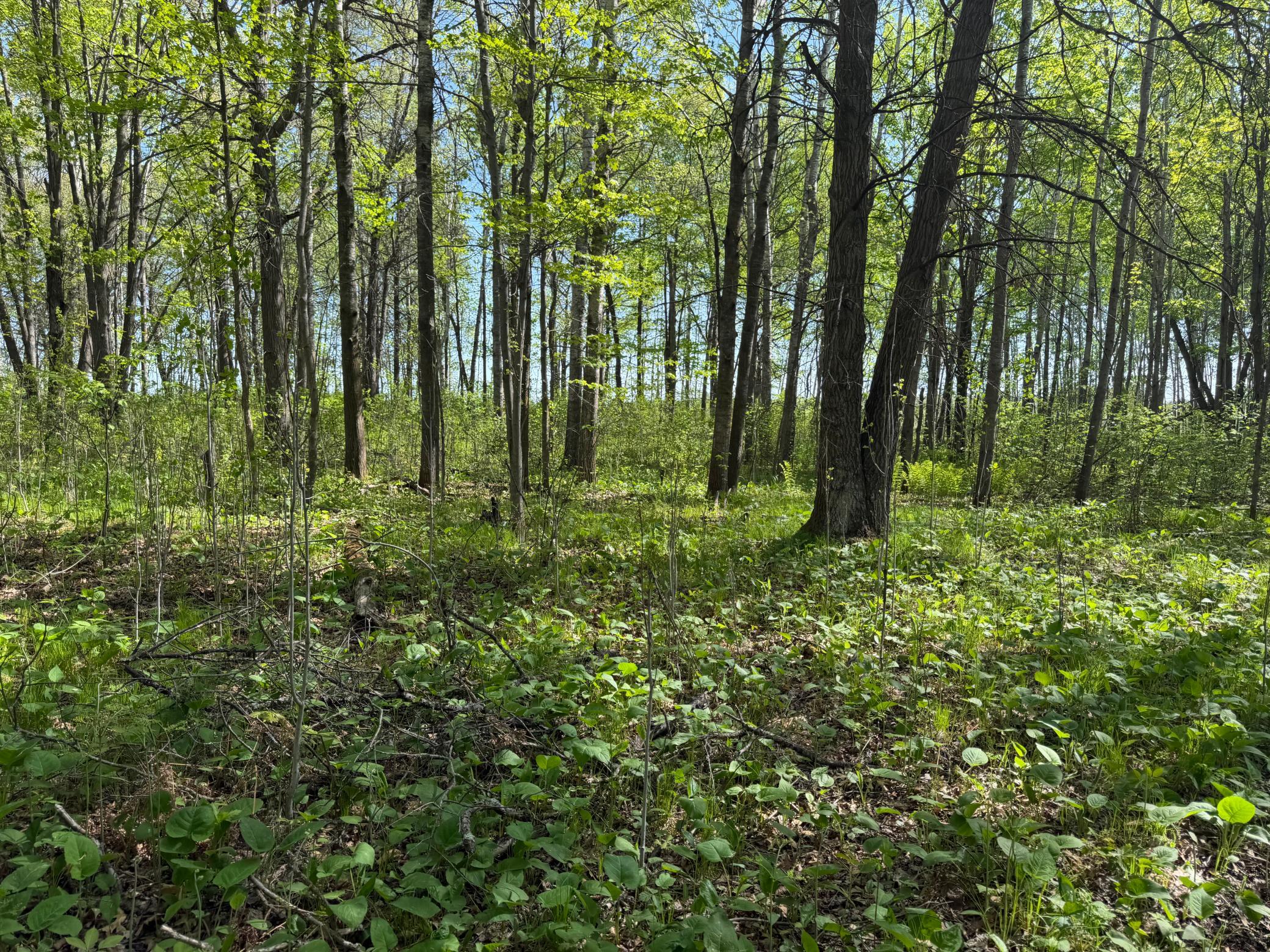14 Sebeka Mn 56477 Sebeka, MN 56477 - Photo 49 of 79