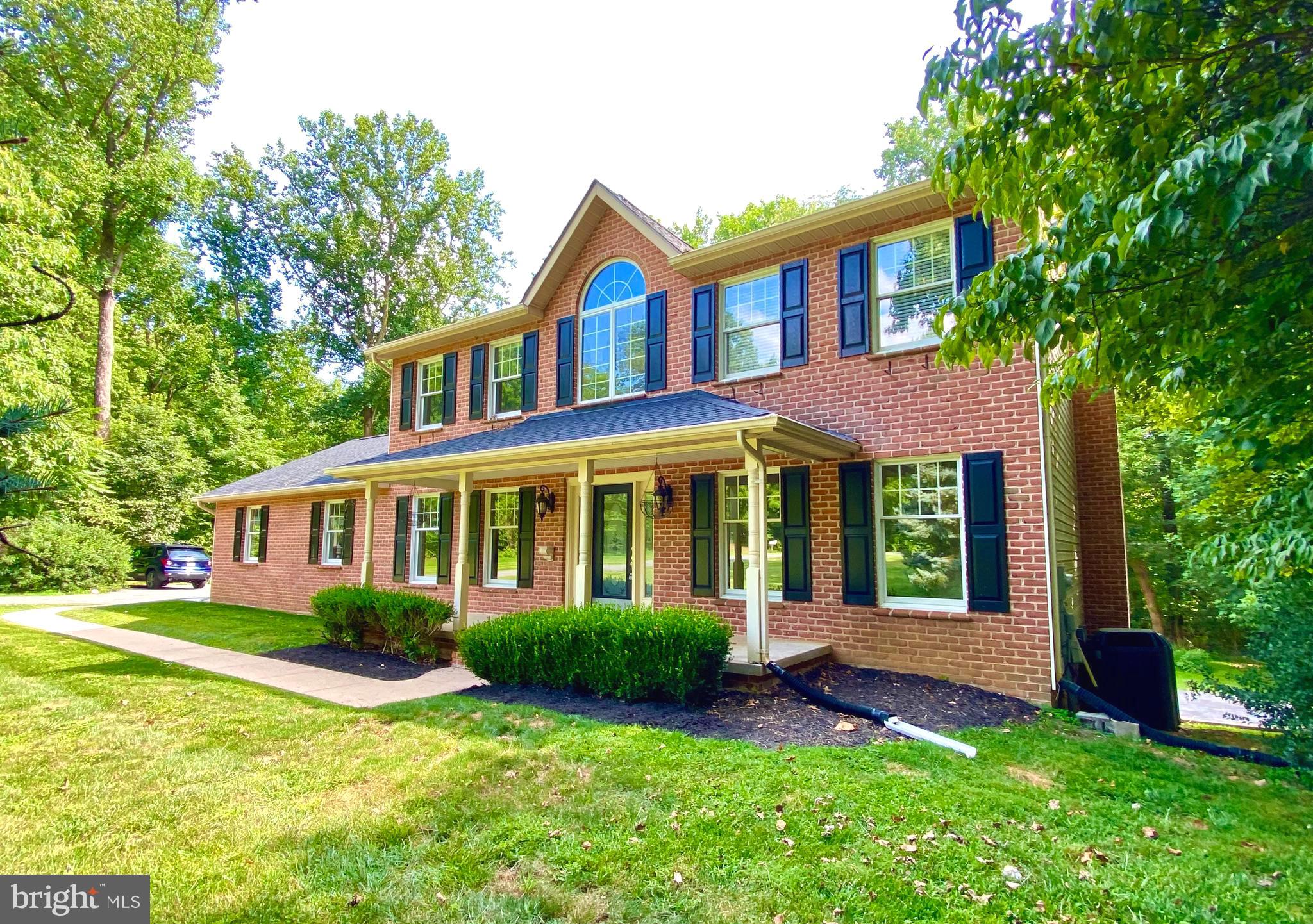 Green Bamboo Boonsboro