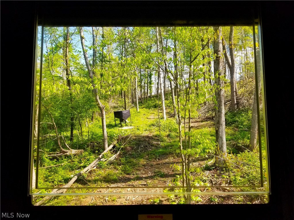 Patton Road Jewett, OH 43986 - Photo 17 of 42