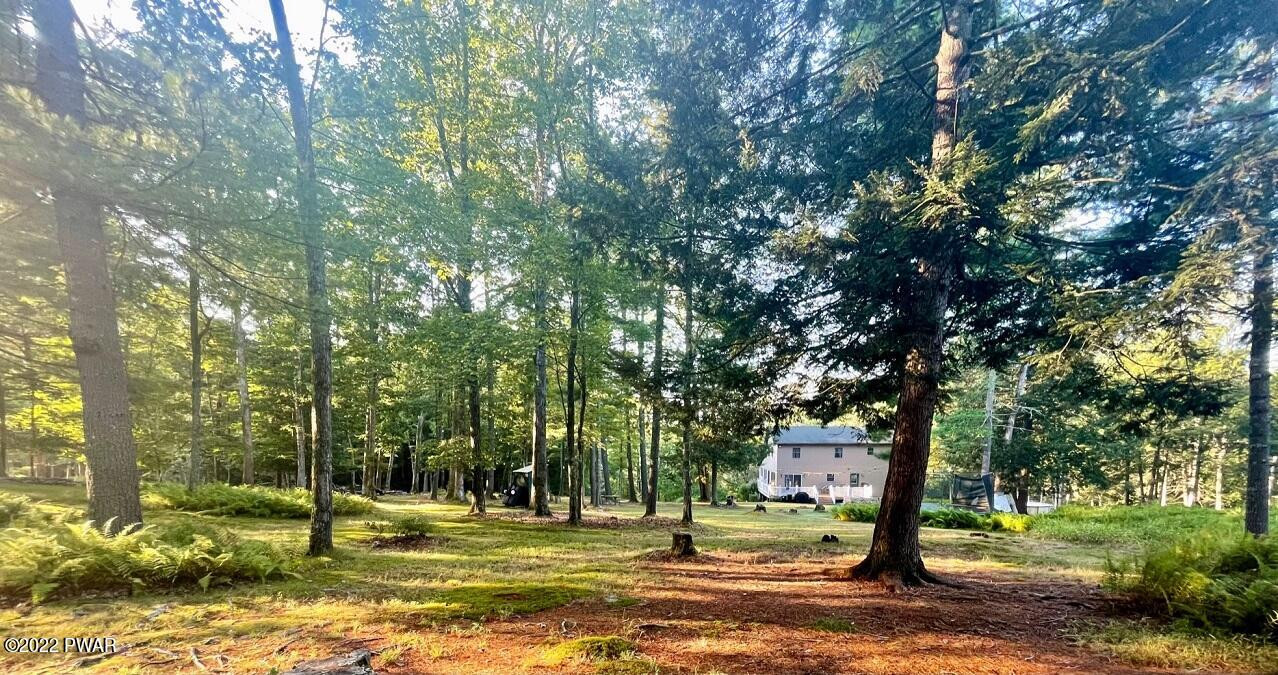 439 Plank Road Beach Lake, PA 18405 - Photo 28 of 94 WOODS