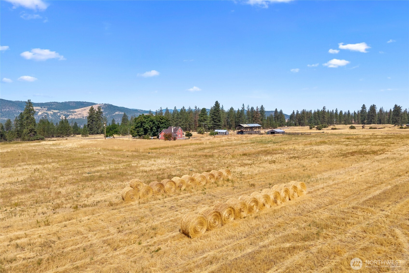 4397 Bissell Road Hunters, WA 99137 - Photo 33 of 38