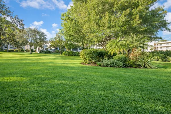 a view of a grassy field with trees