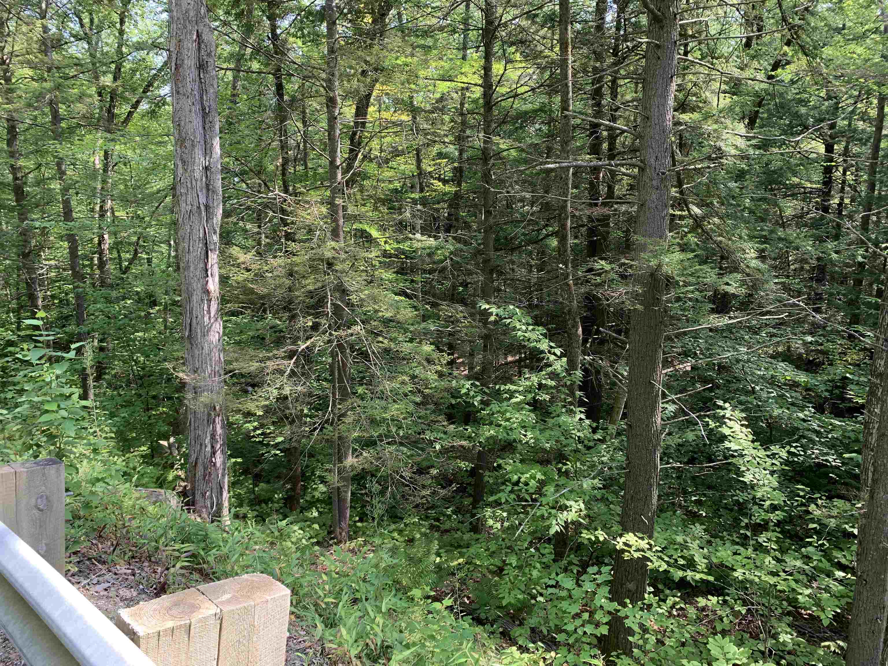 0 Halls Brook Road, Unit 29 Rumney, NH 03266 - Photo 3 of 5