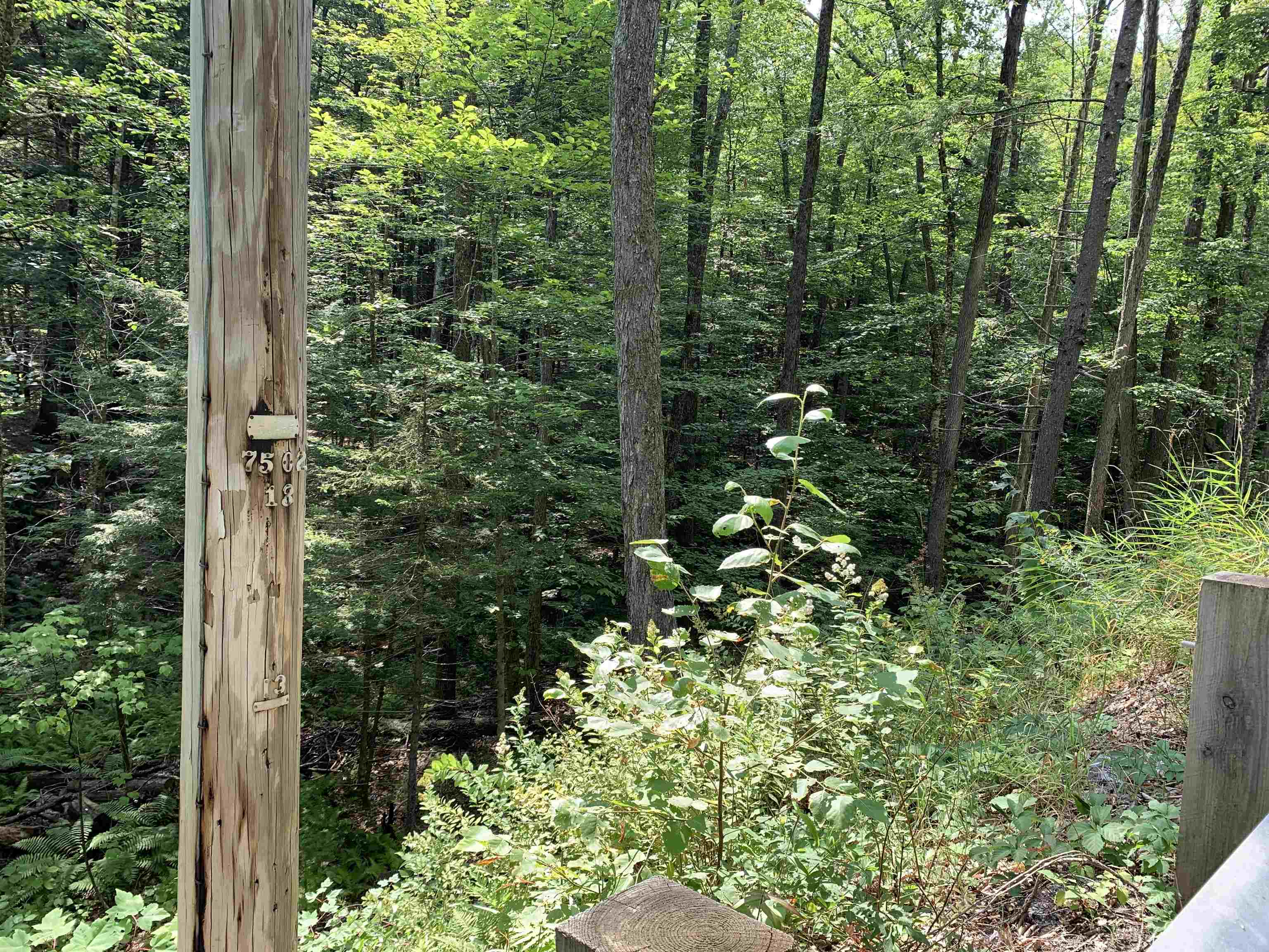 0 Halls Brook Road, Unit 29 Rumney, NH 03266 - Photo 4 of 5